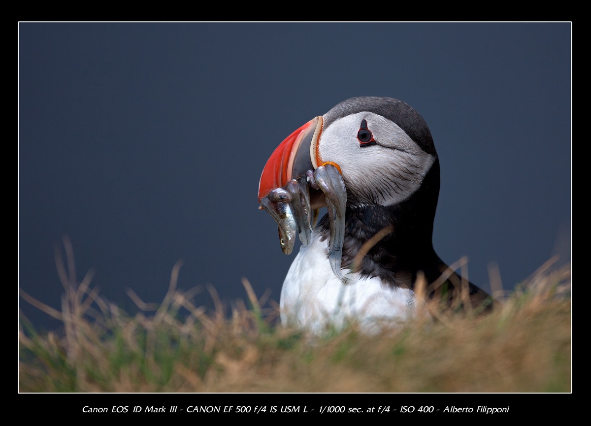 Proud of its fishing