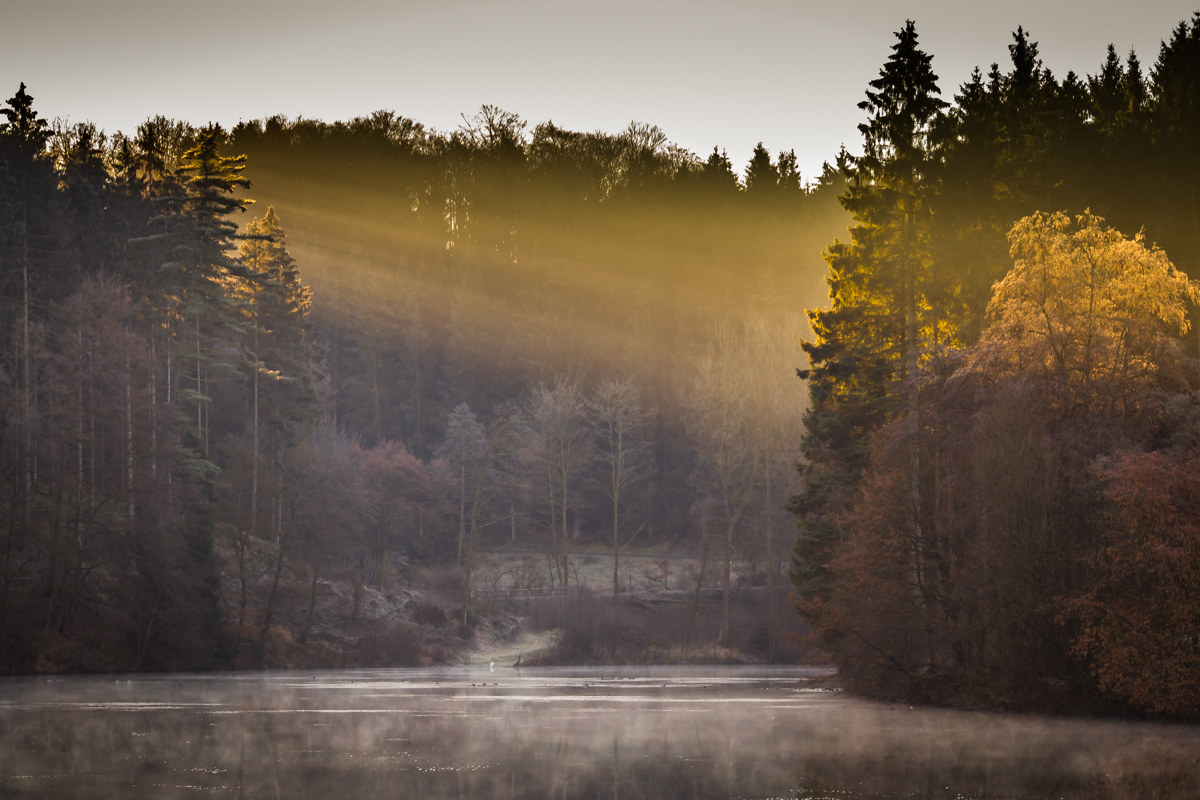 A cold december morning...