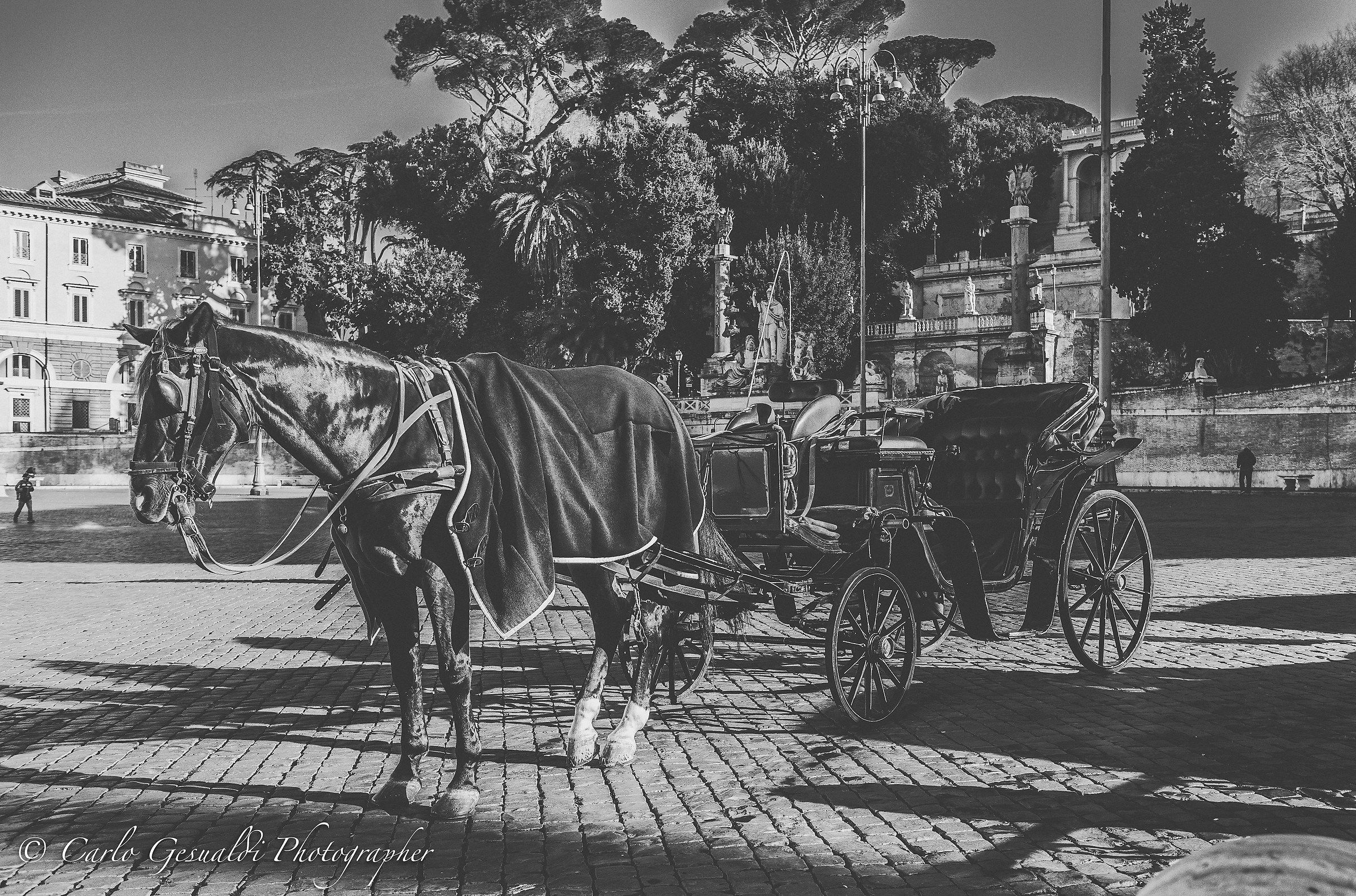 Na' carrozzella va.......per ora sola!