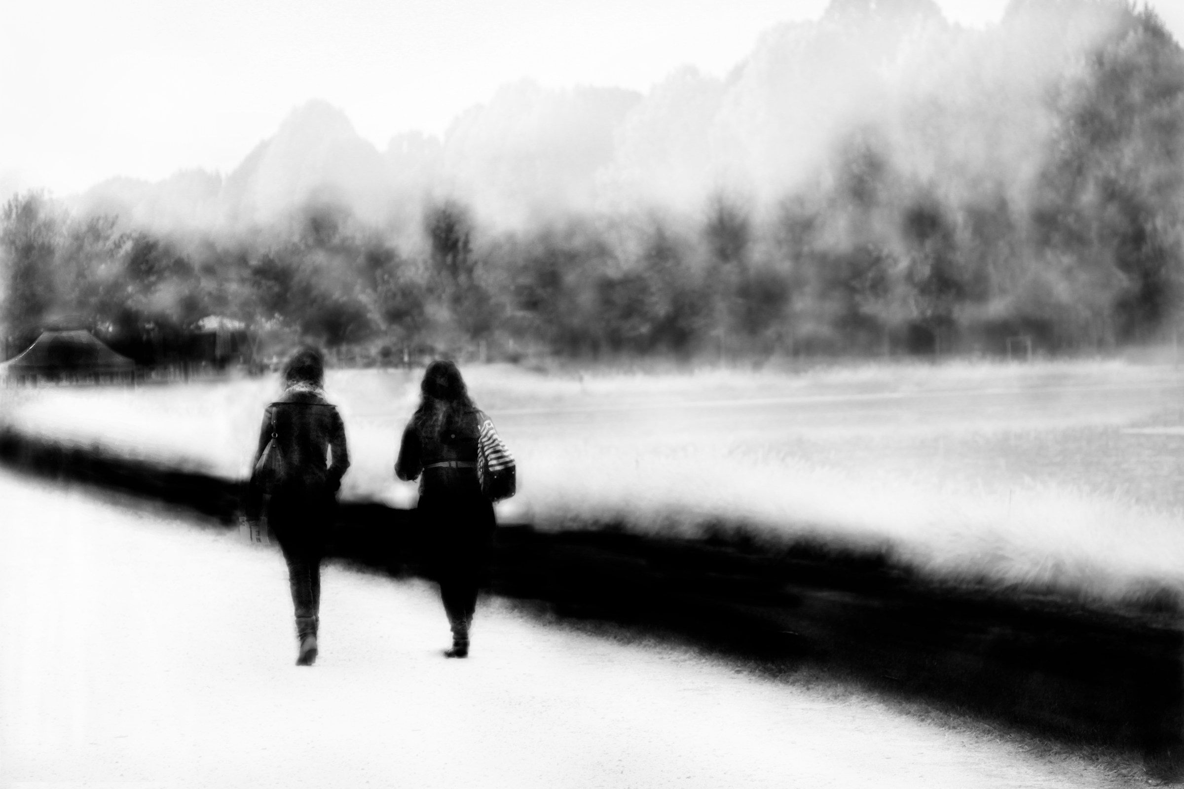 La via dell'amicizia