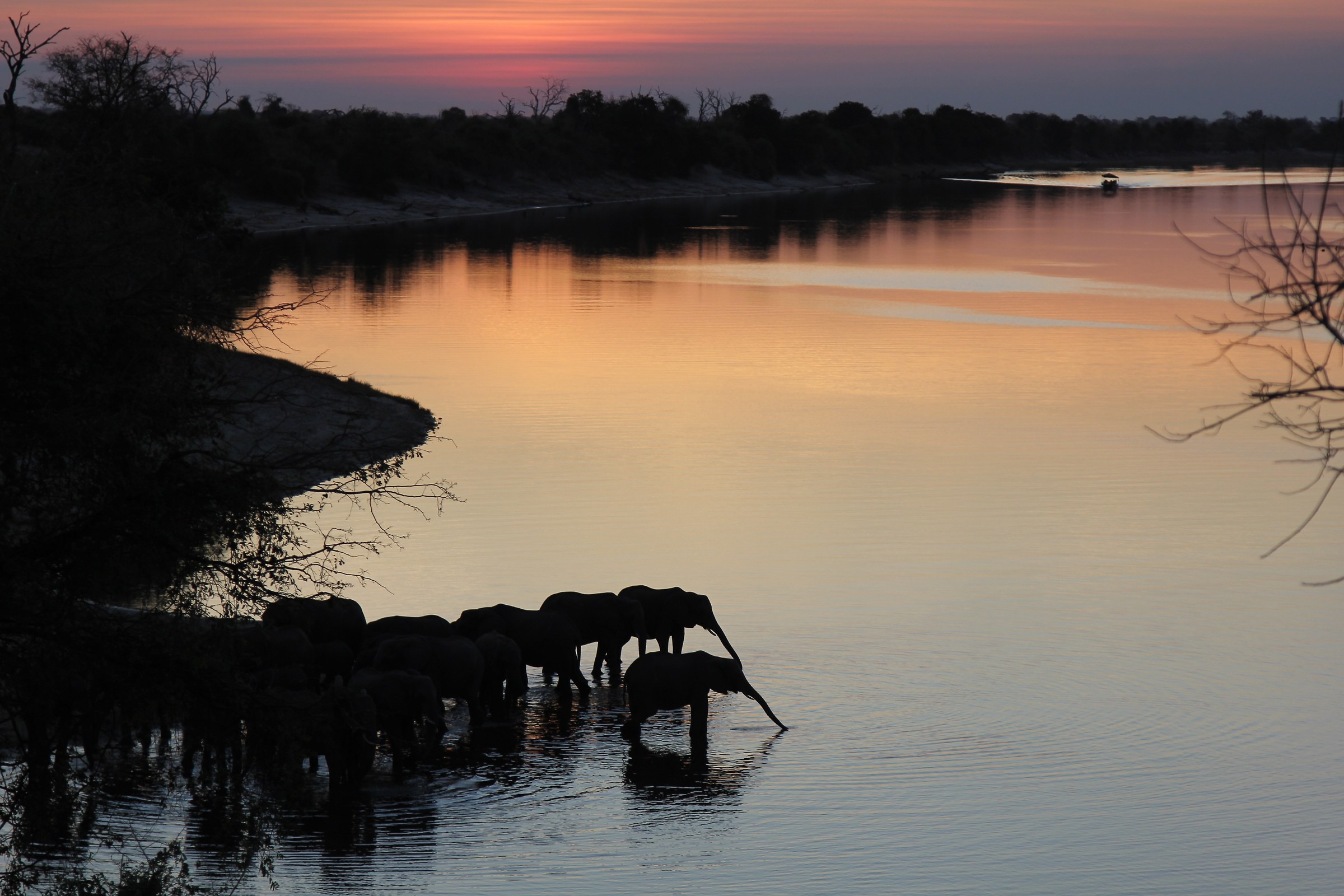 Sunset on the Chobe.