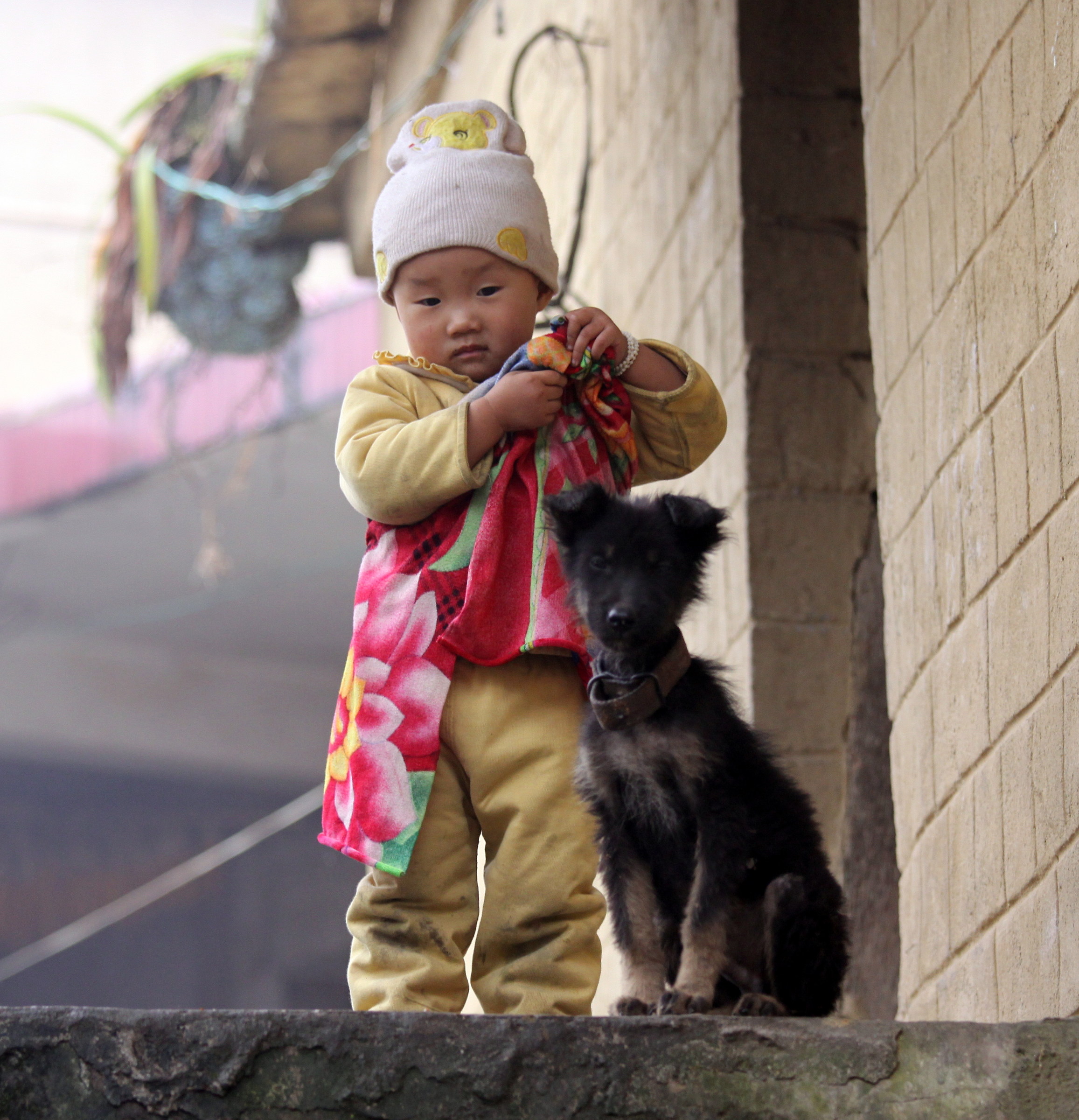 3697 -Two friends ......