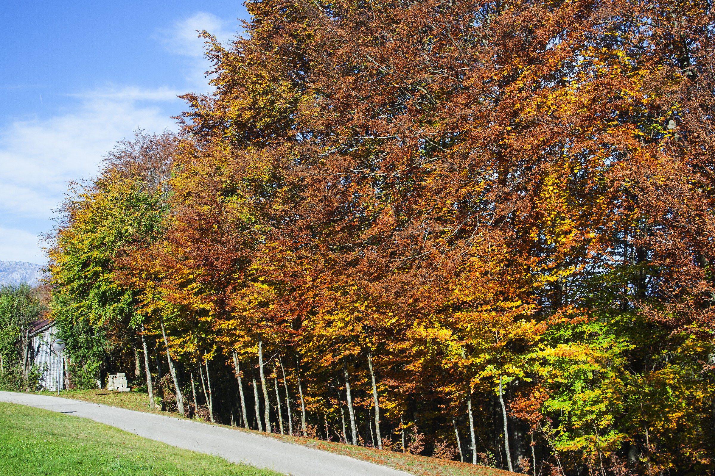 Pramaor - Colori autunnali