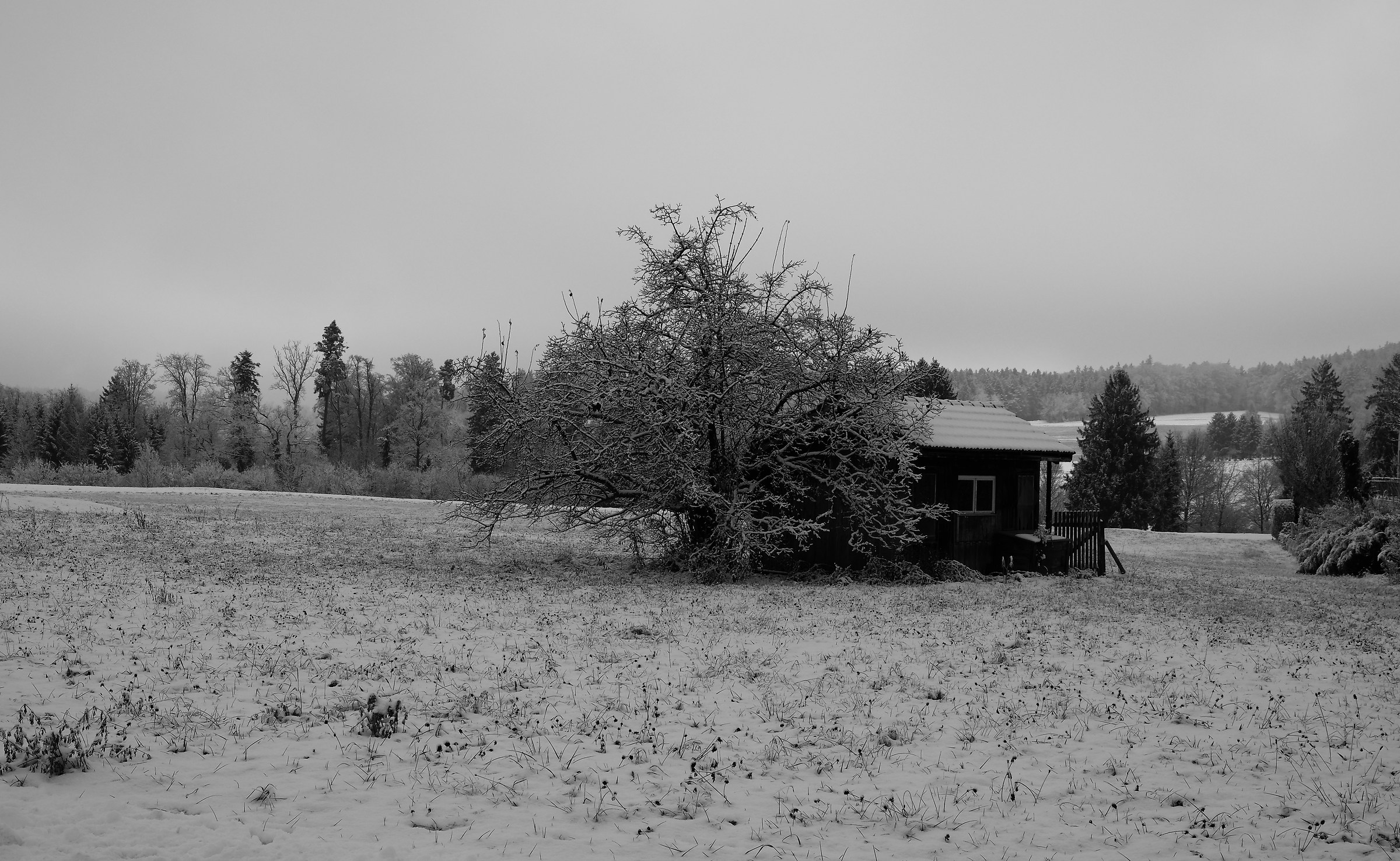 Voglio stare un pò da solo!!