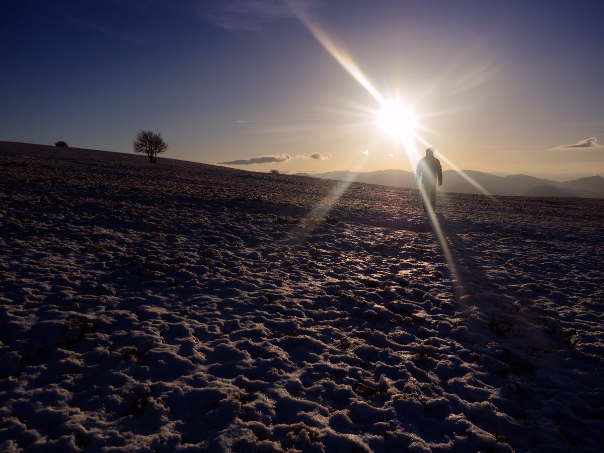 We live as we dream: alone