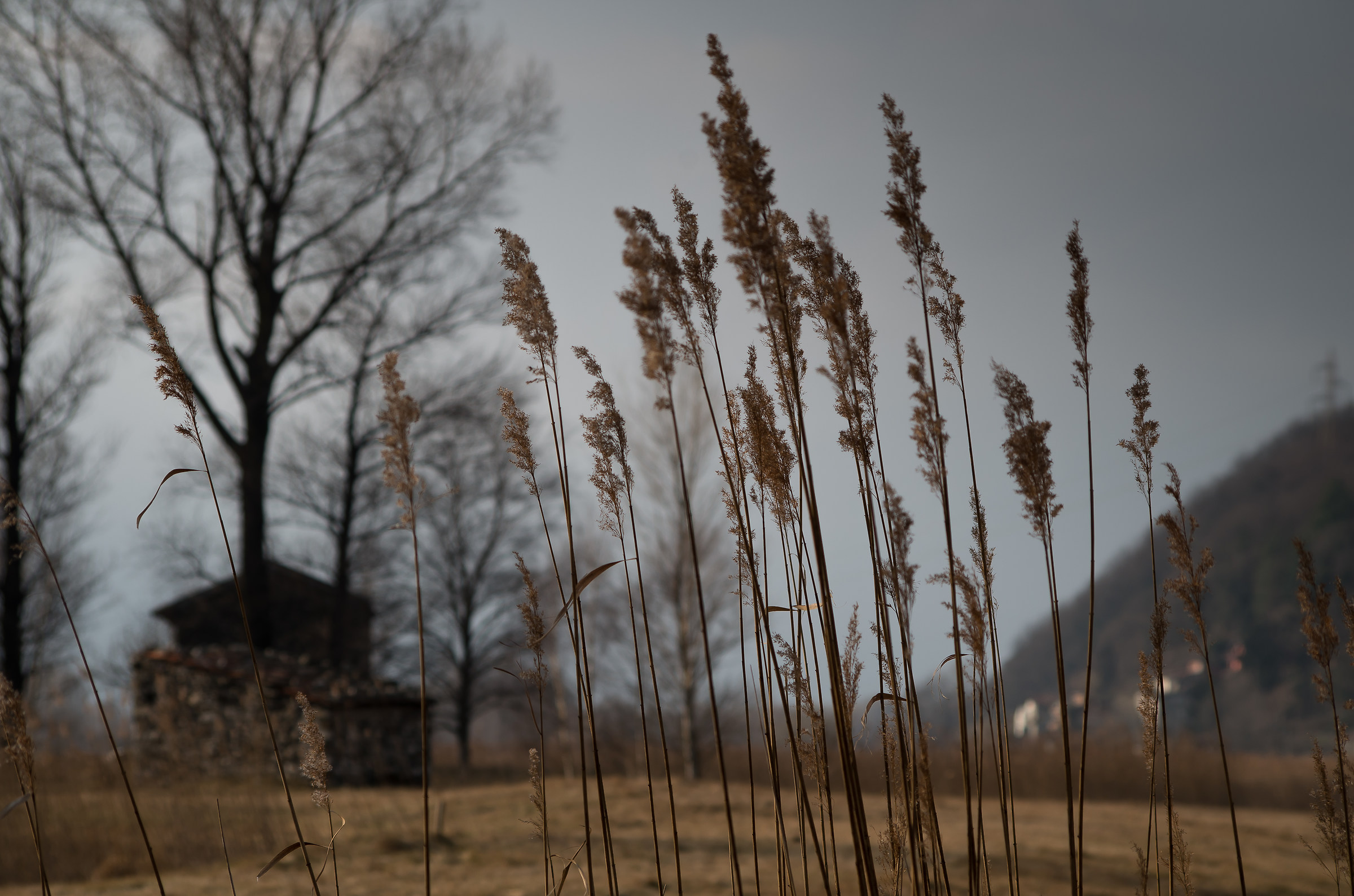 Riserva Pian di Spagna