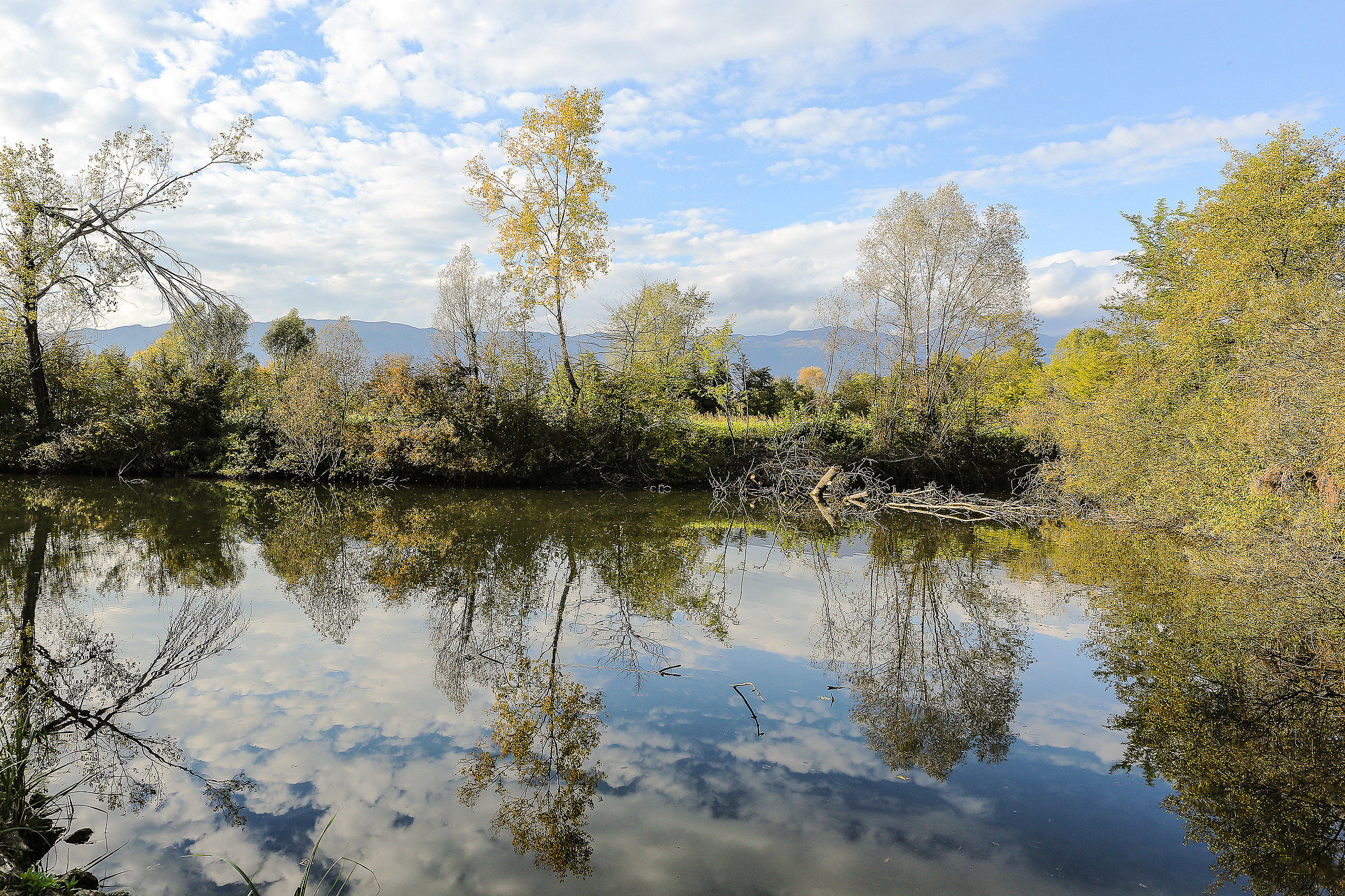 Pond in Vigonovo di Fontanafredda (pn)