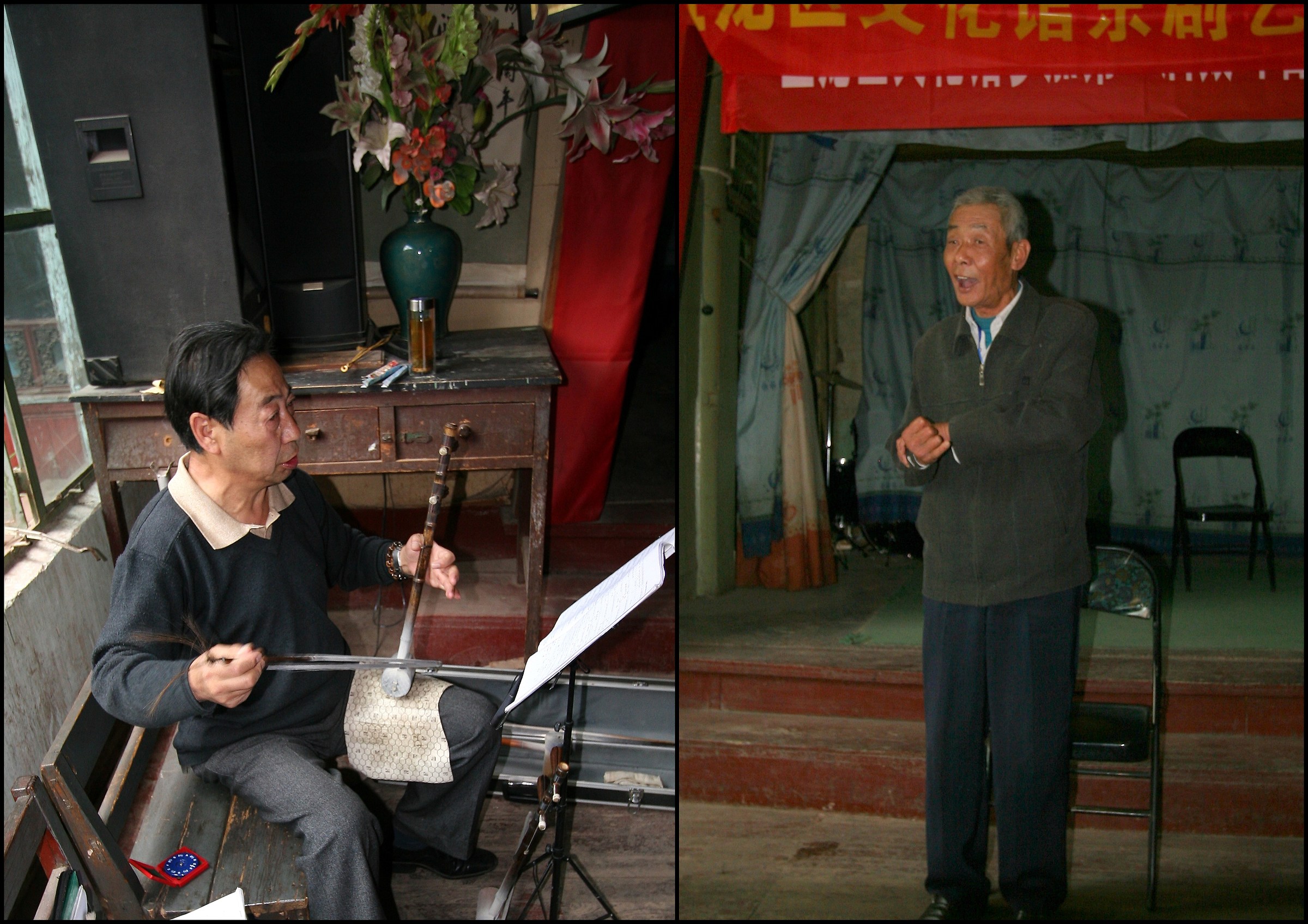 collage - Musician and Singer