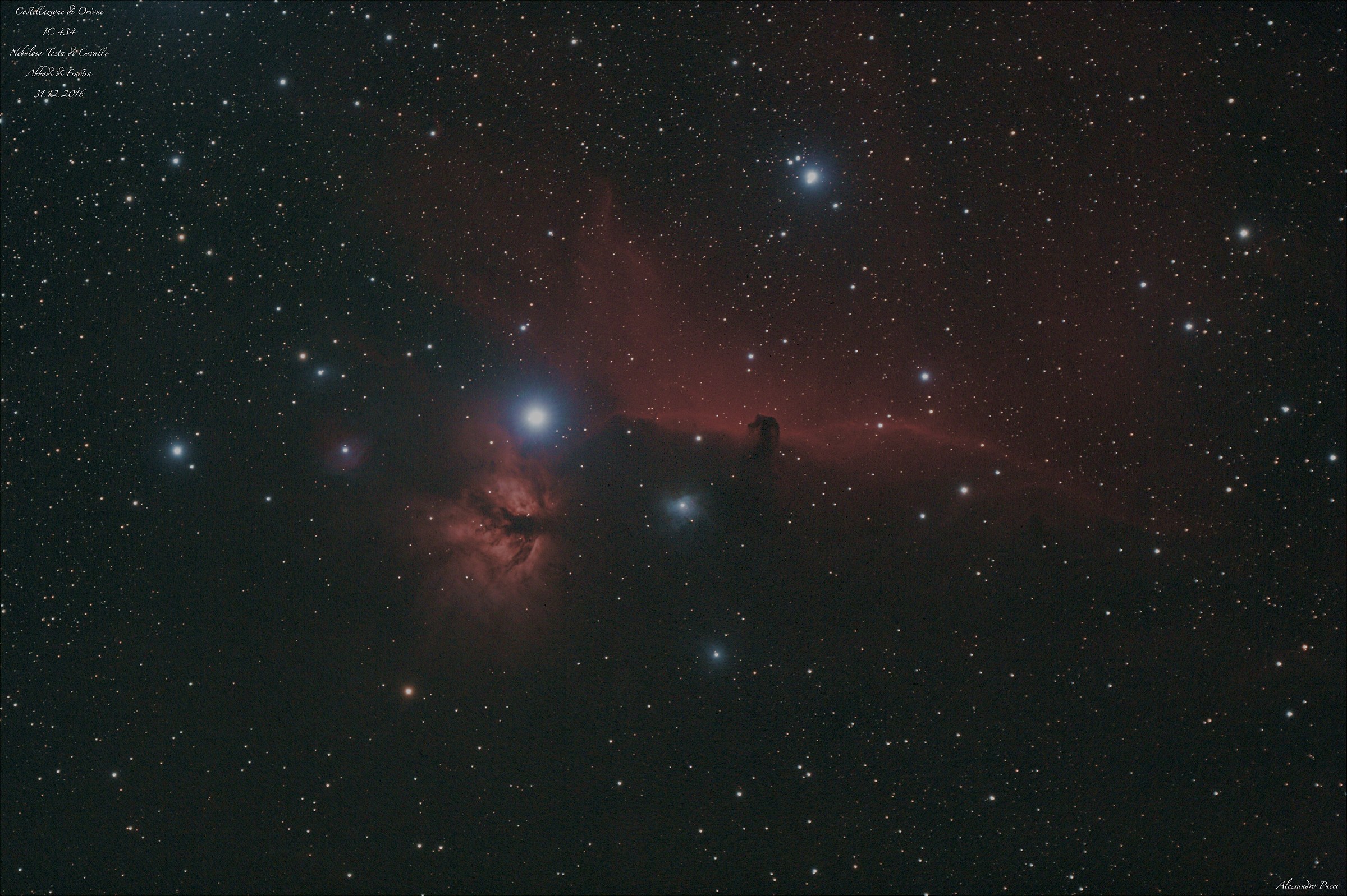 Horse Head in Orion