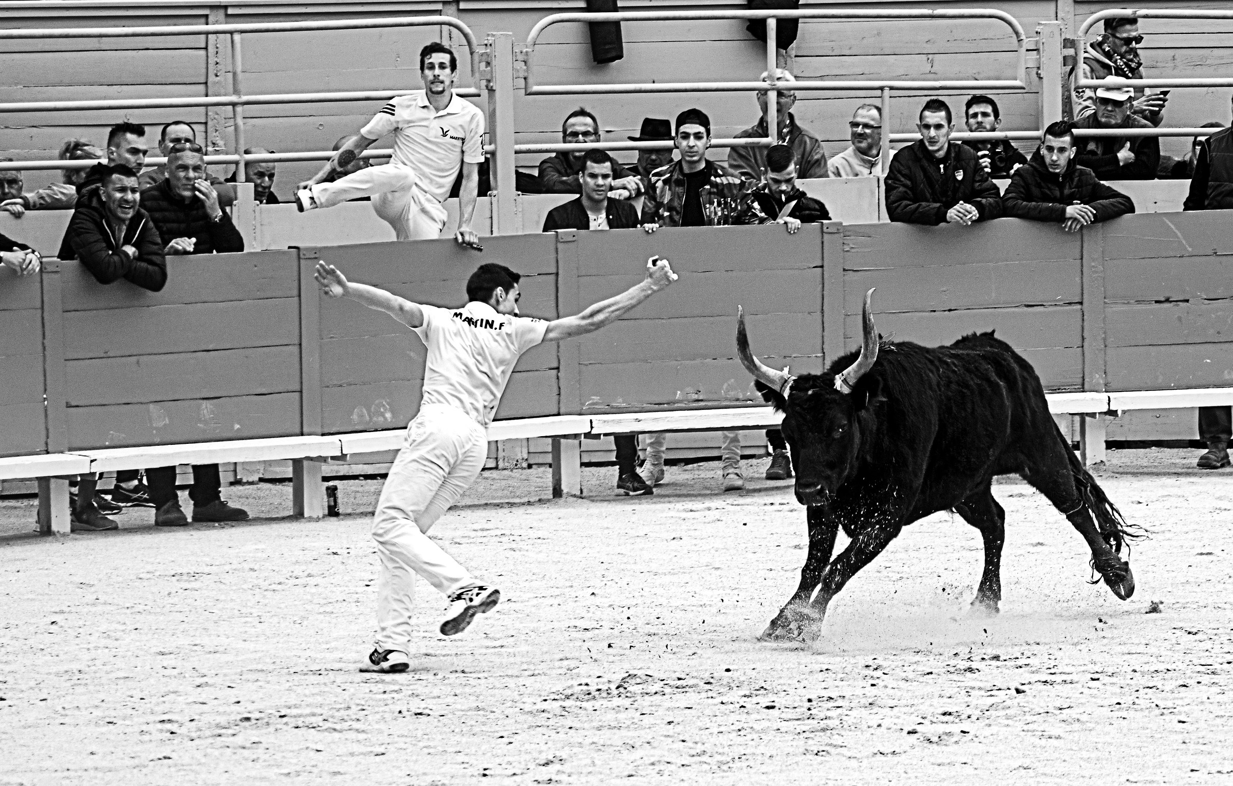 la course camarguaise Arles