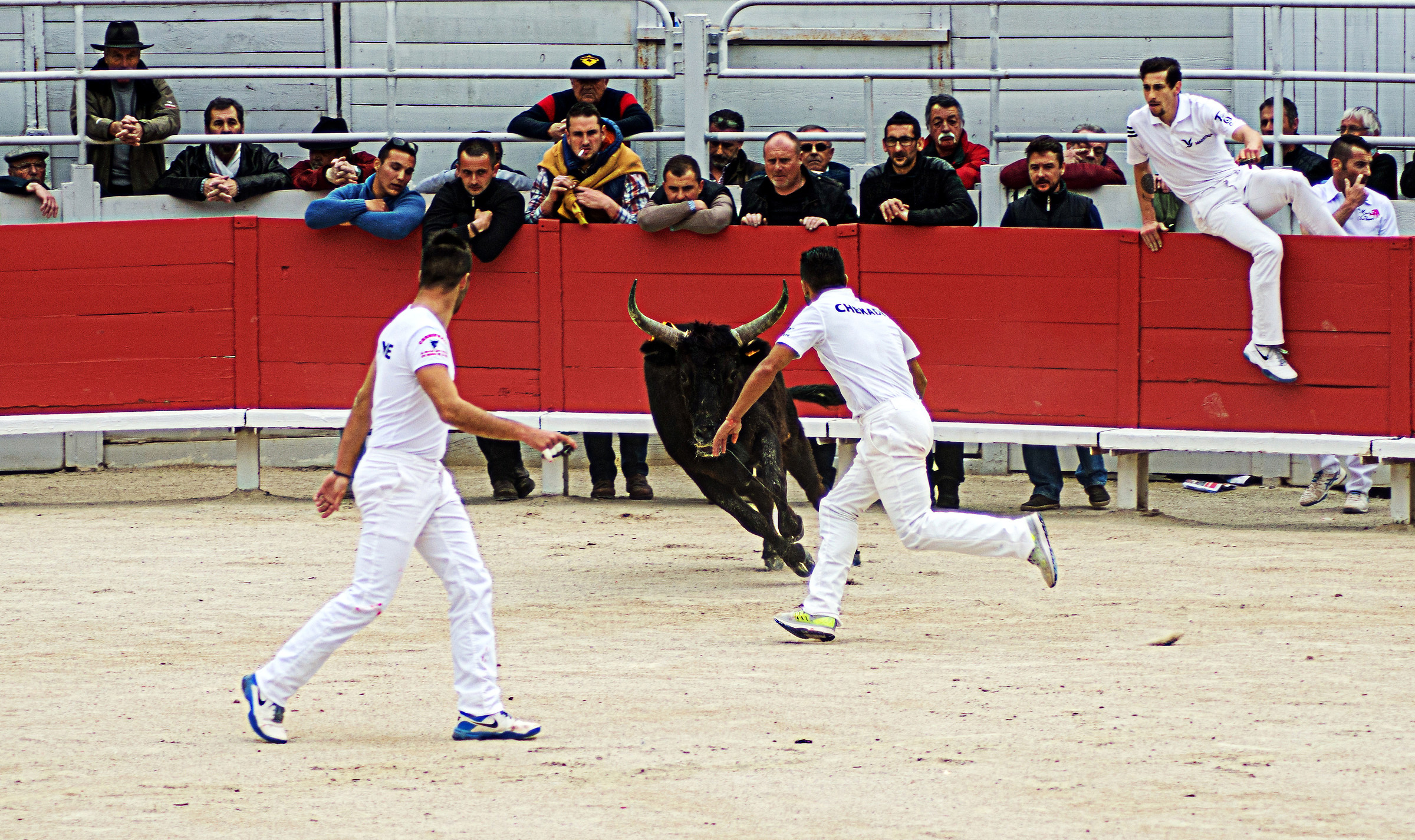 The course camarguaise Arles