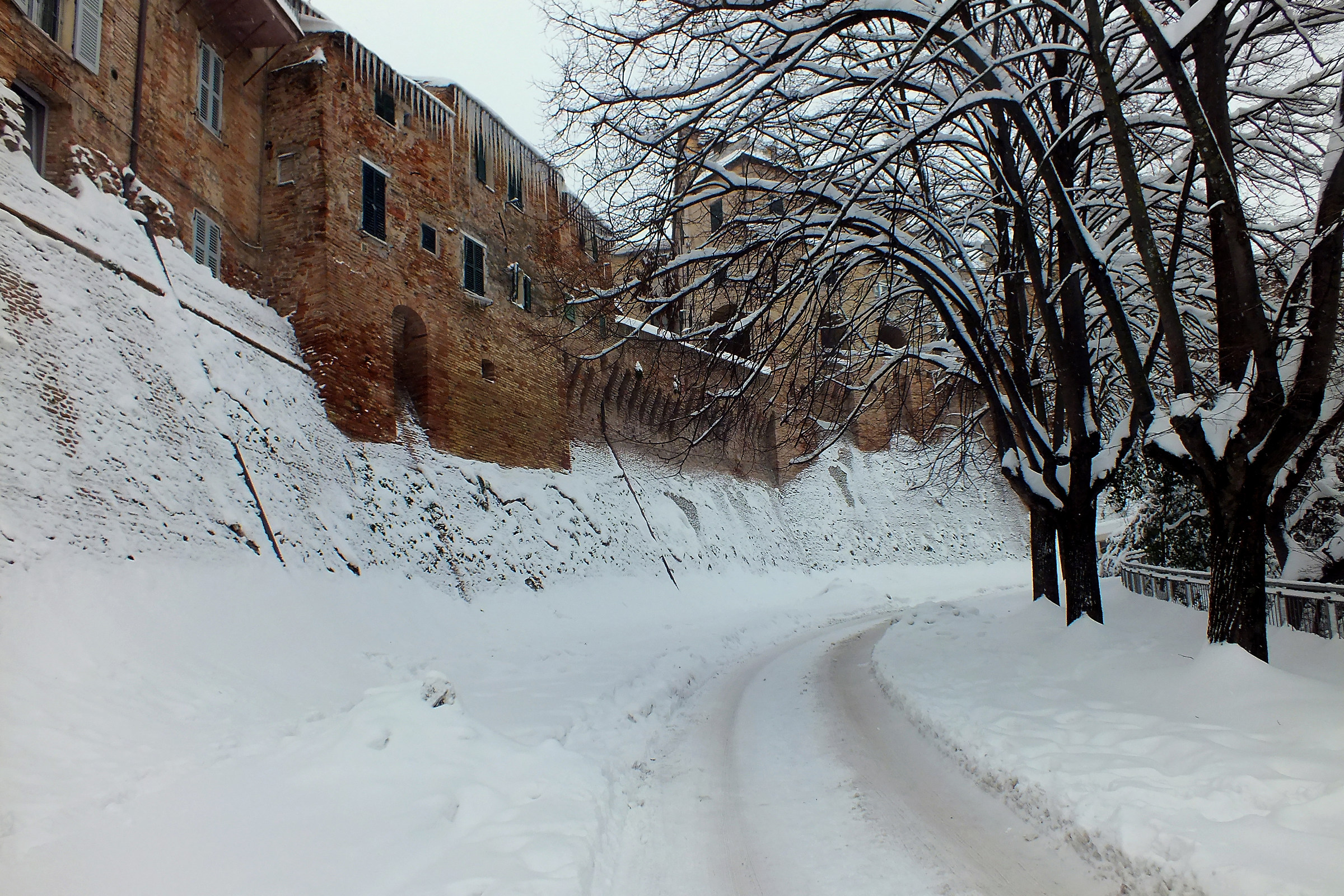 La neve del 12   ( Jesi )