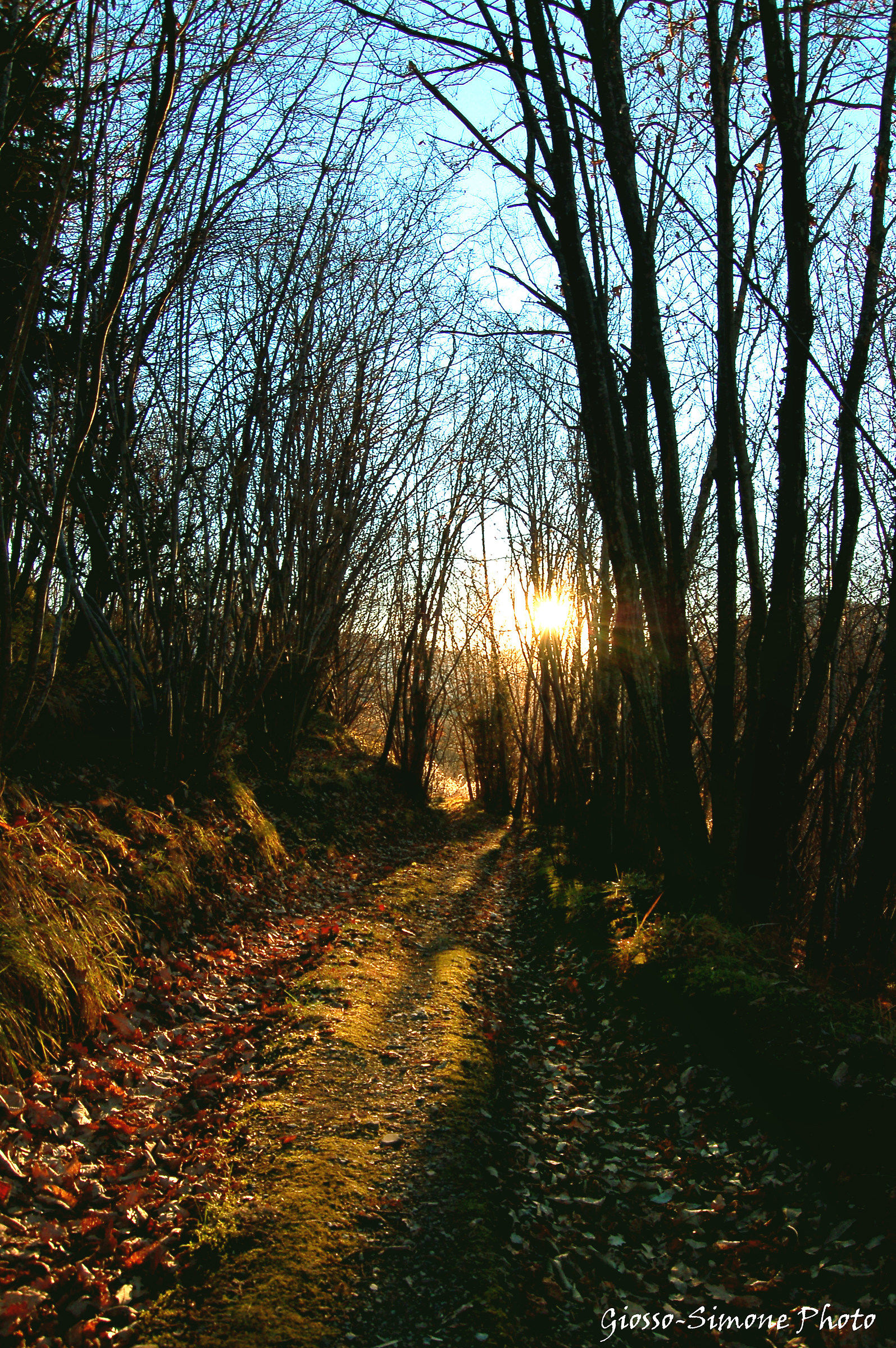 first light on winter passages