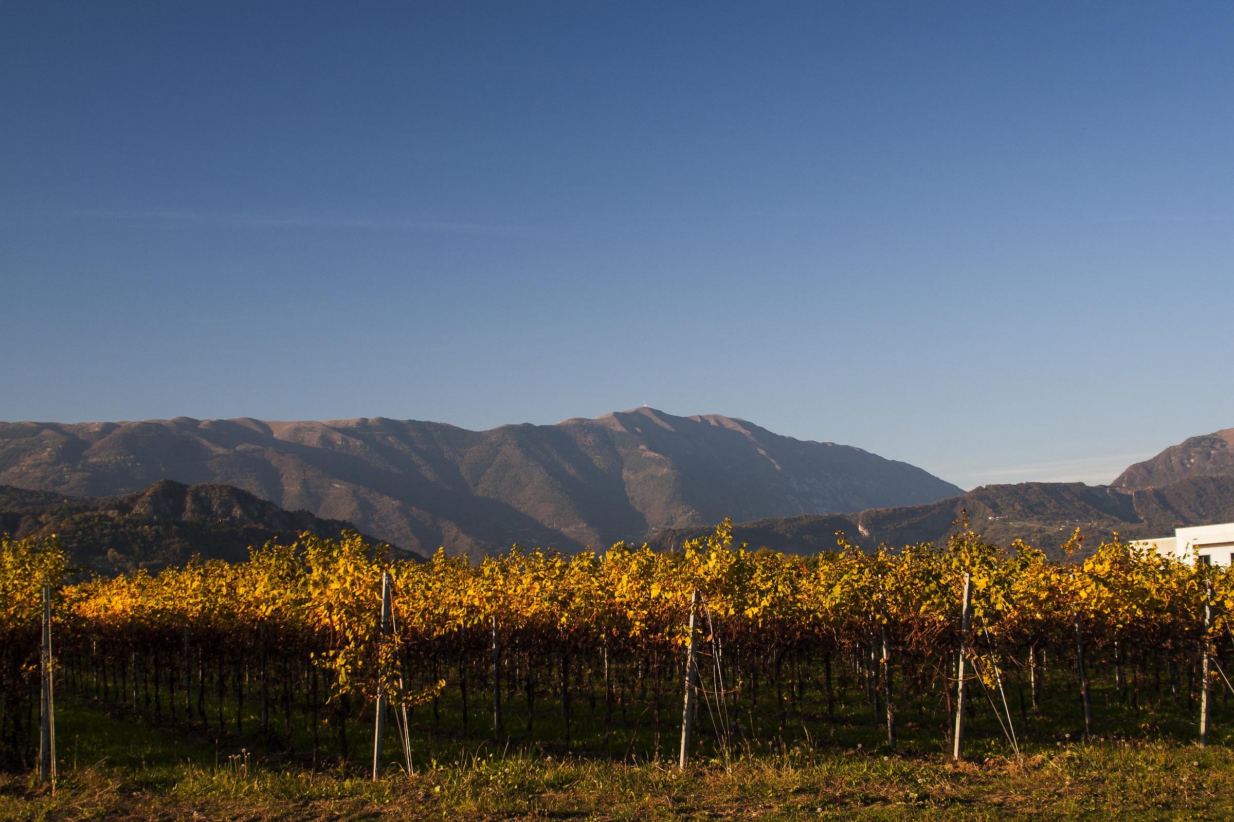 Vittorio Veneto - Colori autunnali