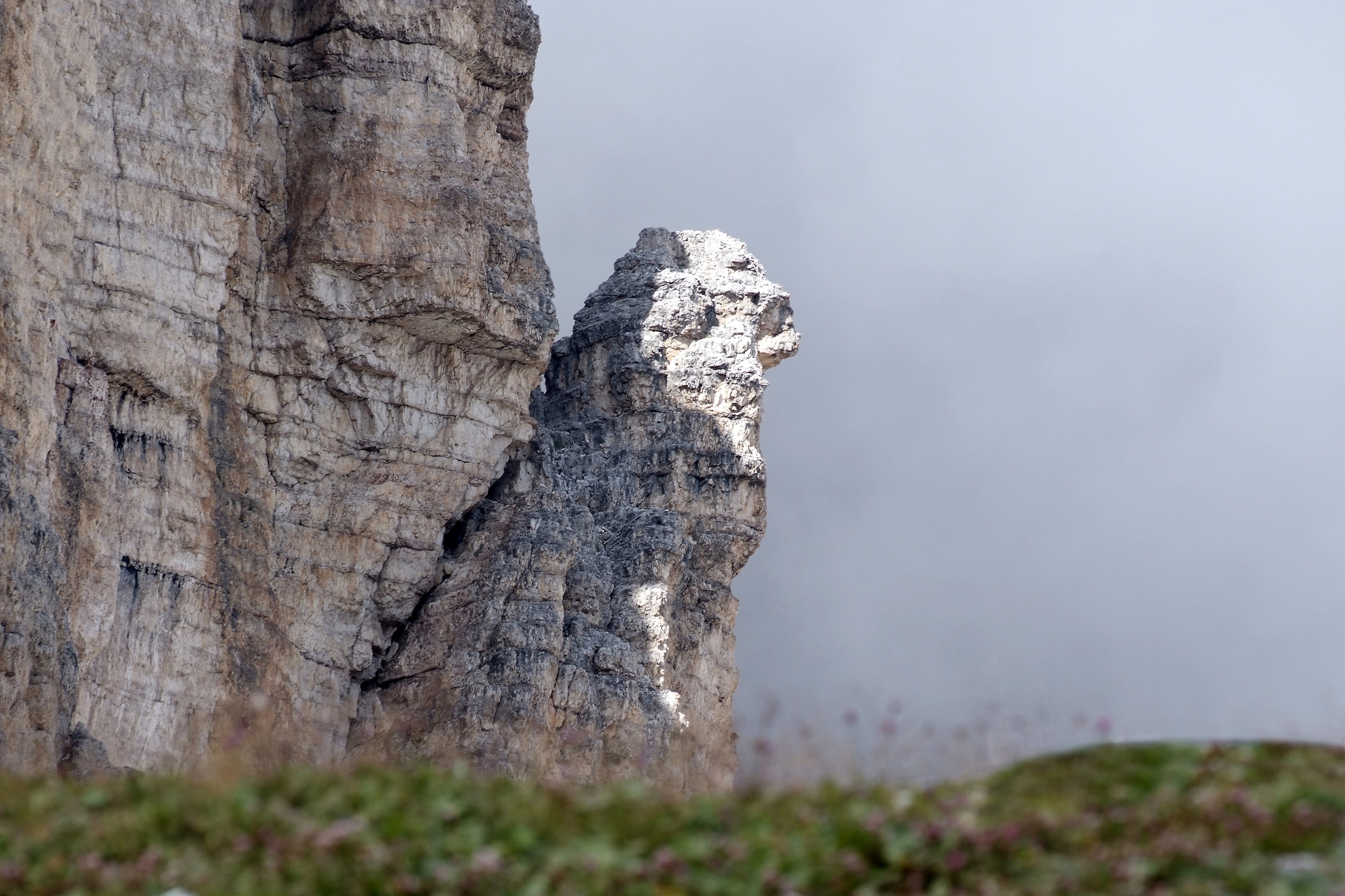 La guardia del corpo...