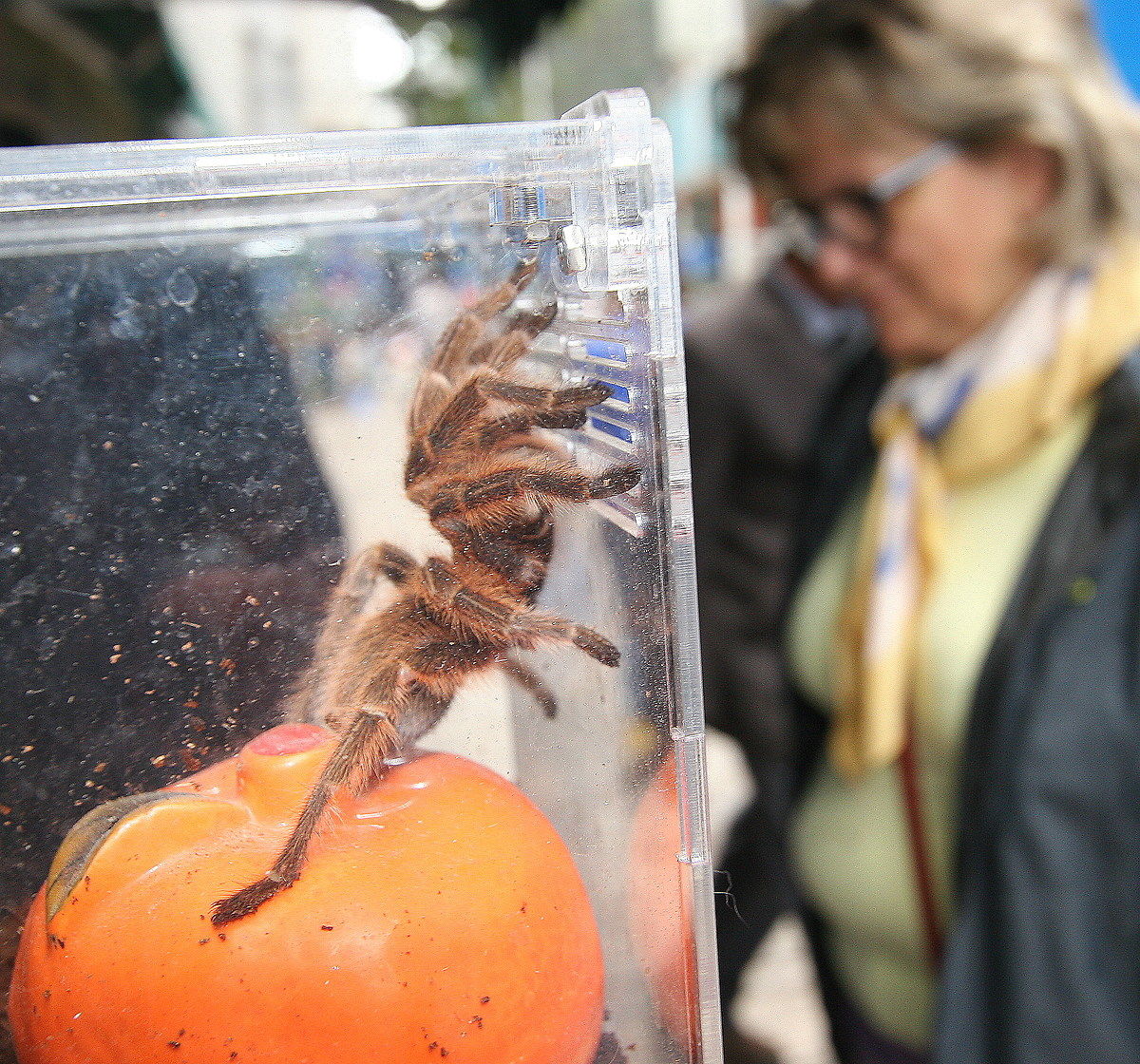 1903 -I can tell what it is?