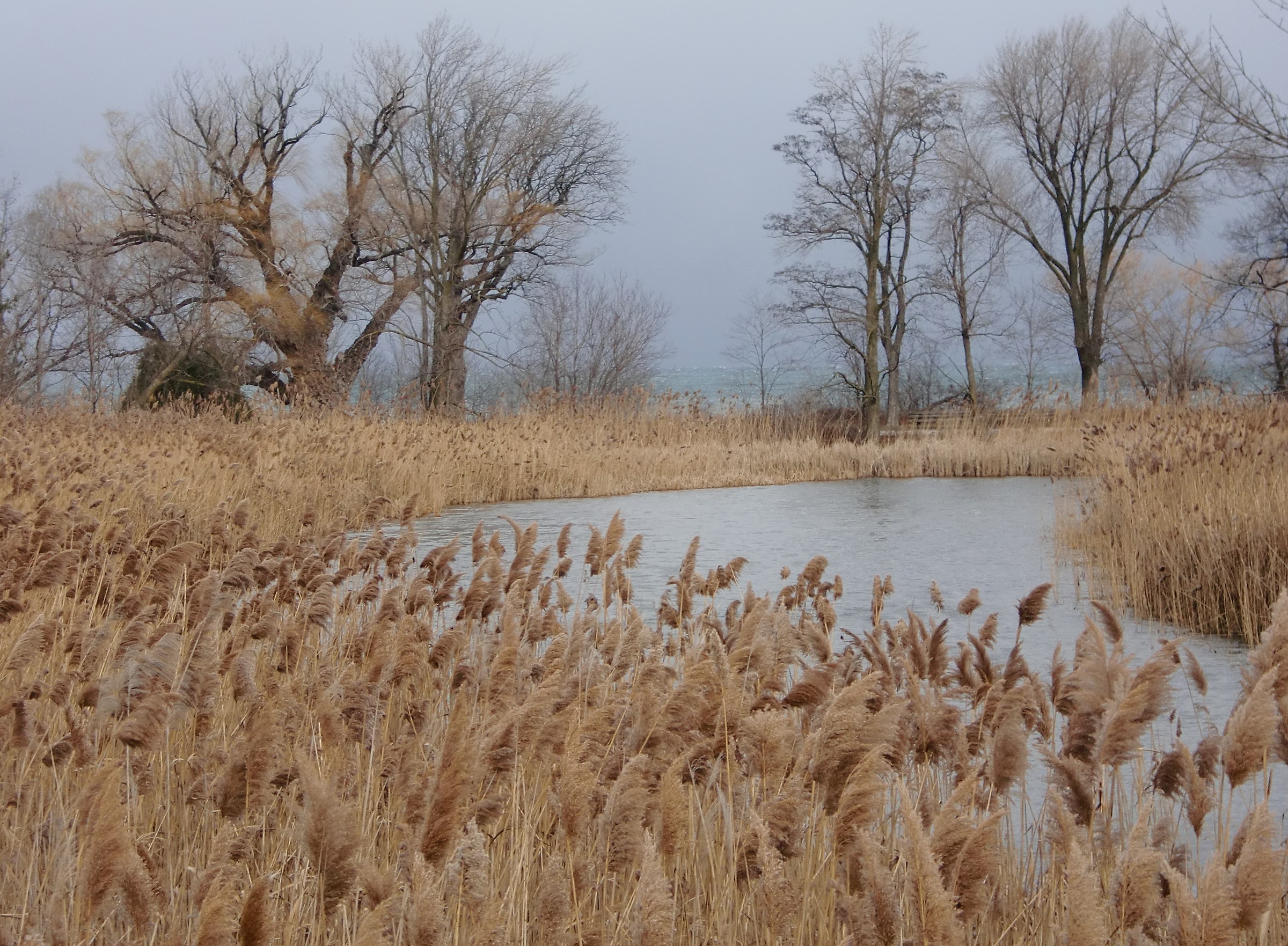 Confederation Park, Lake Ontario