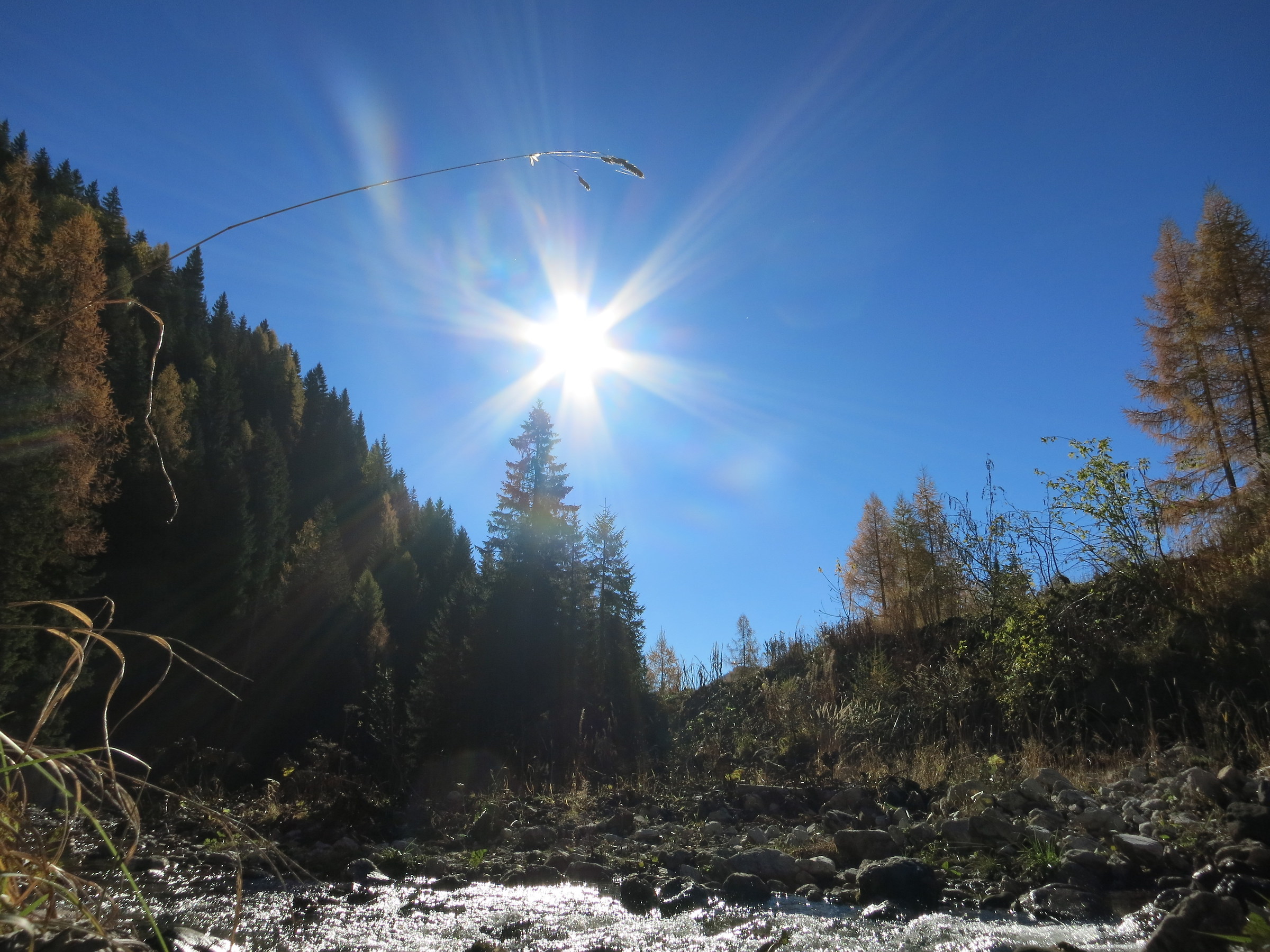 Zoldo prima di arrivare al Rif. Palafavera 3
