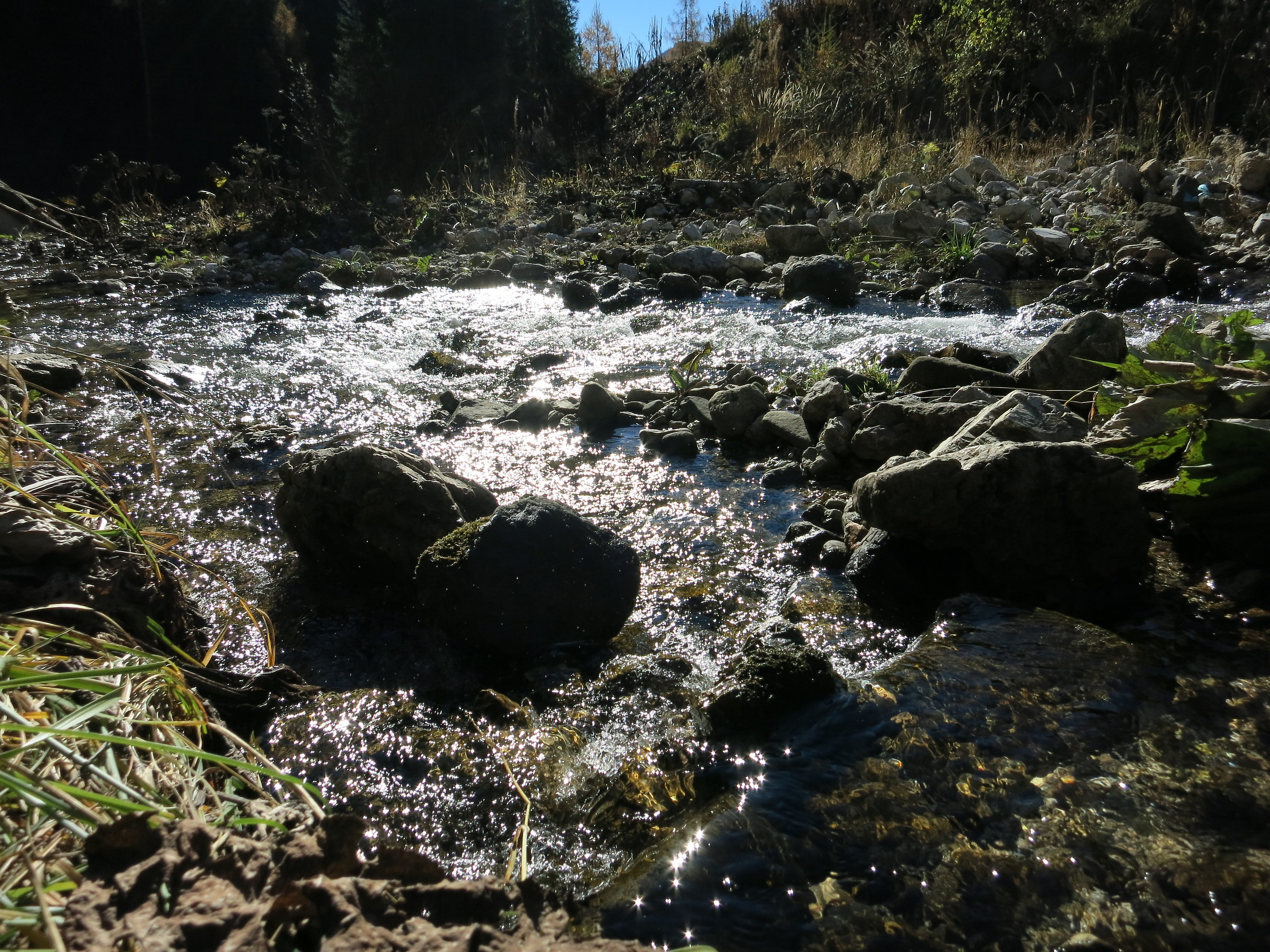 Zoldo prima di arrivare al Rif. Palafavera 3
