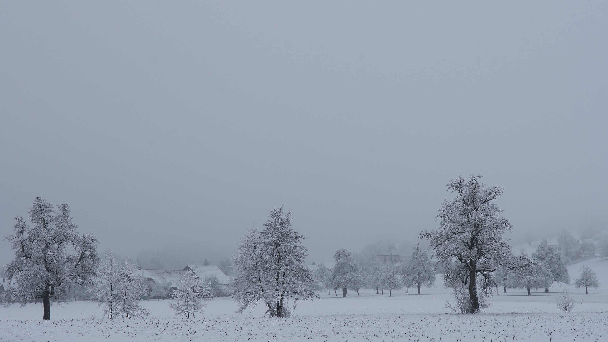 Appearances in the white