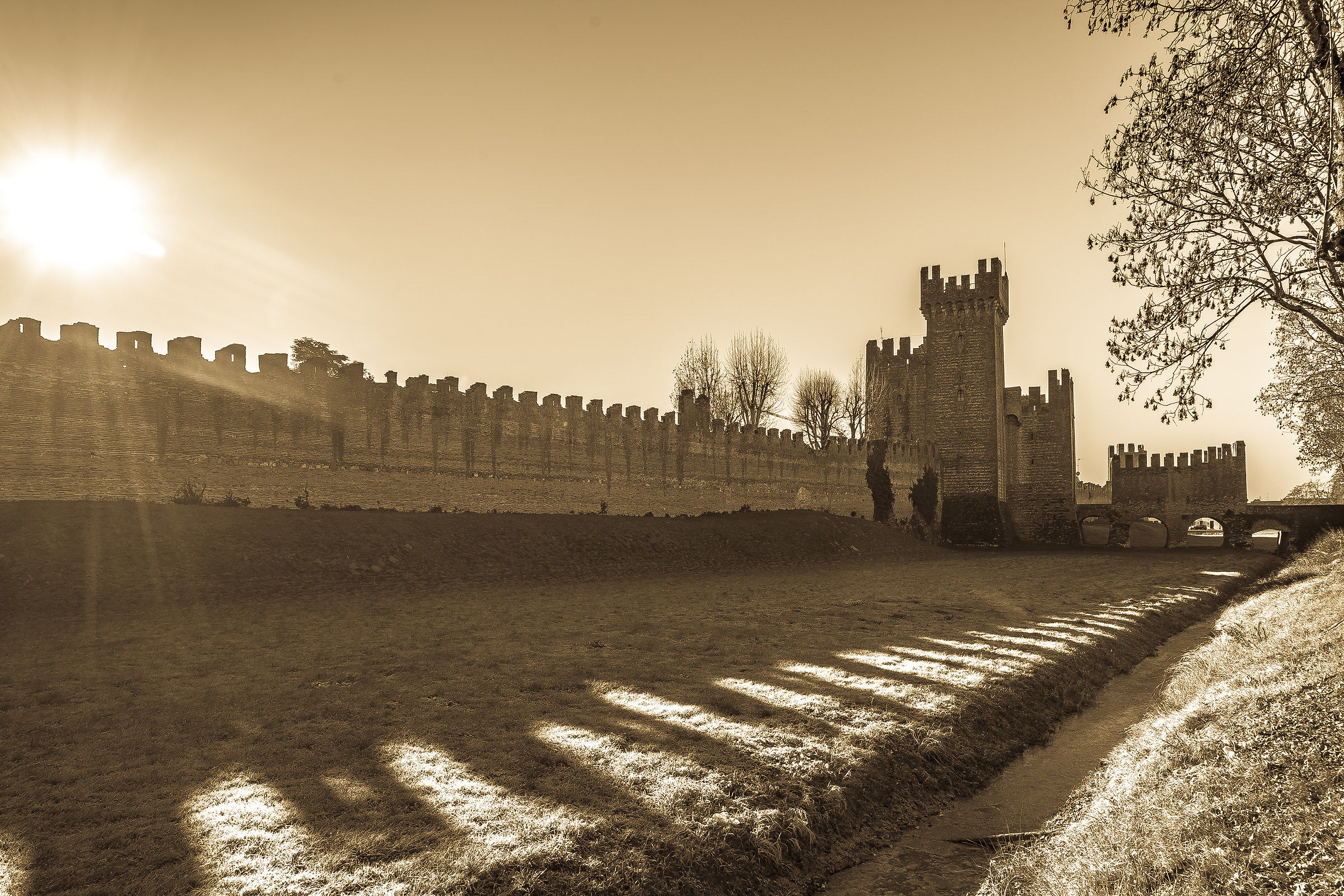 The Montagnana Castle