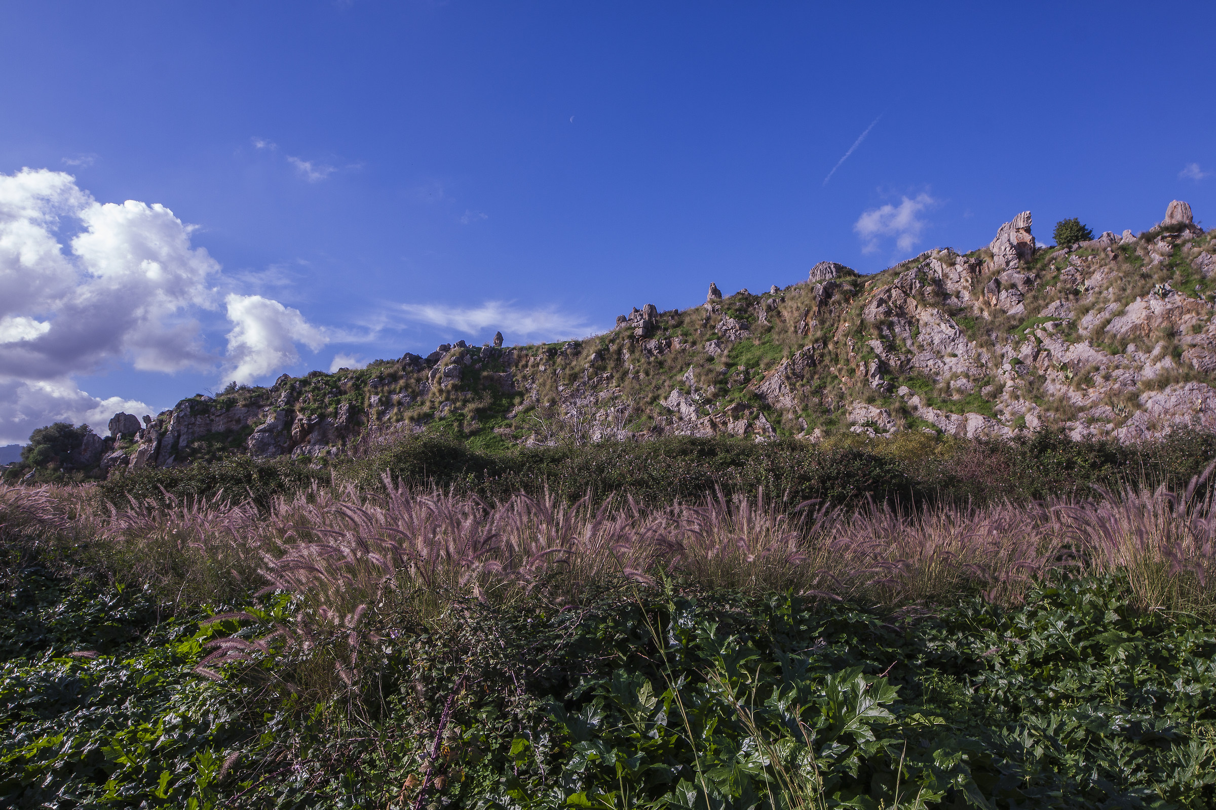 Grotta della Molara