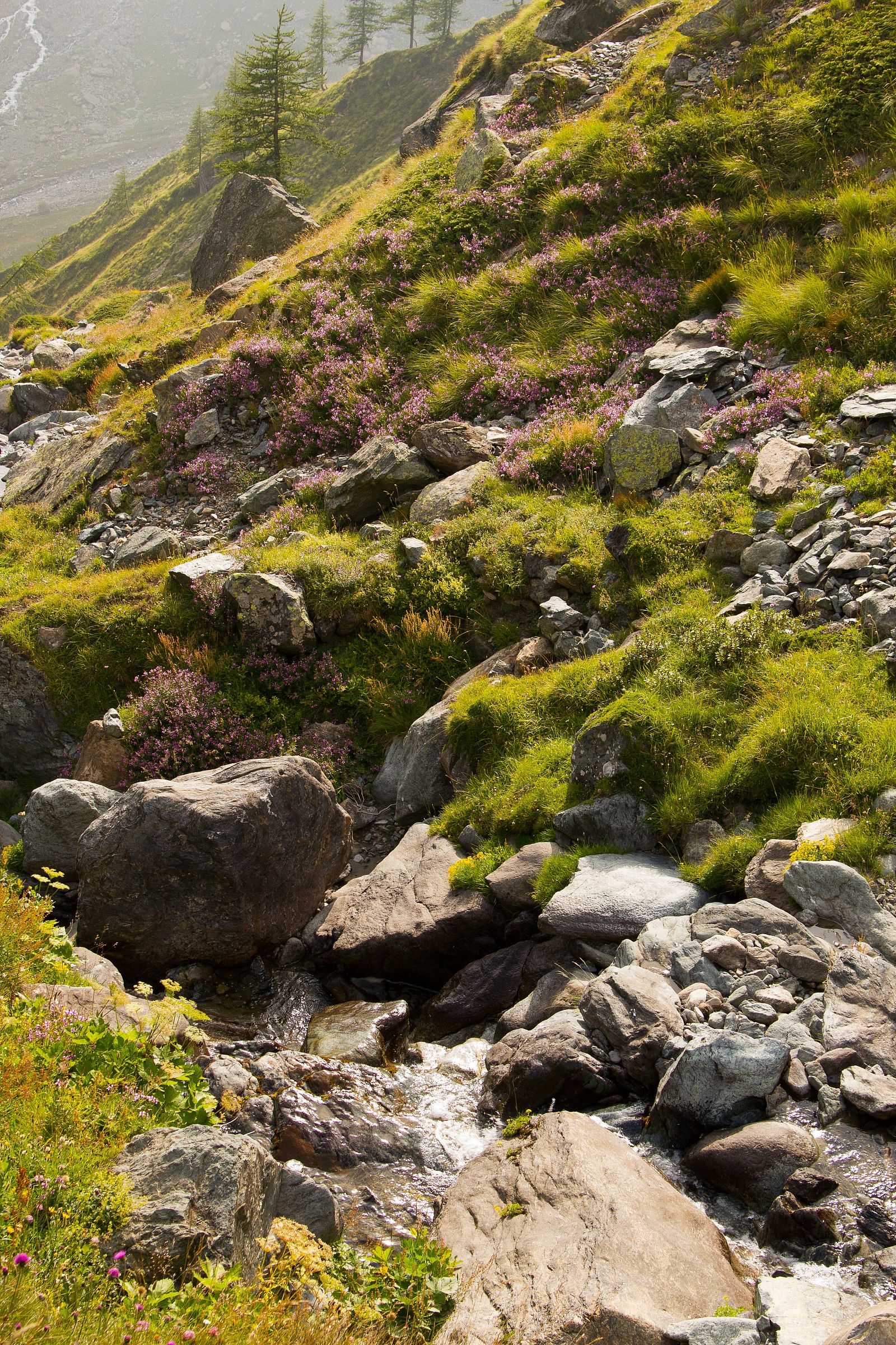 descent from the floor Ciamarella