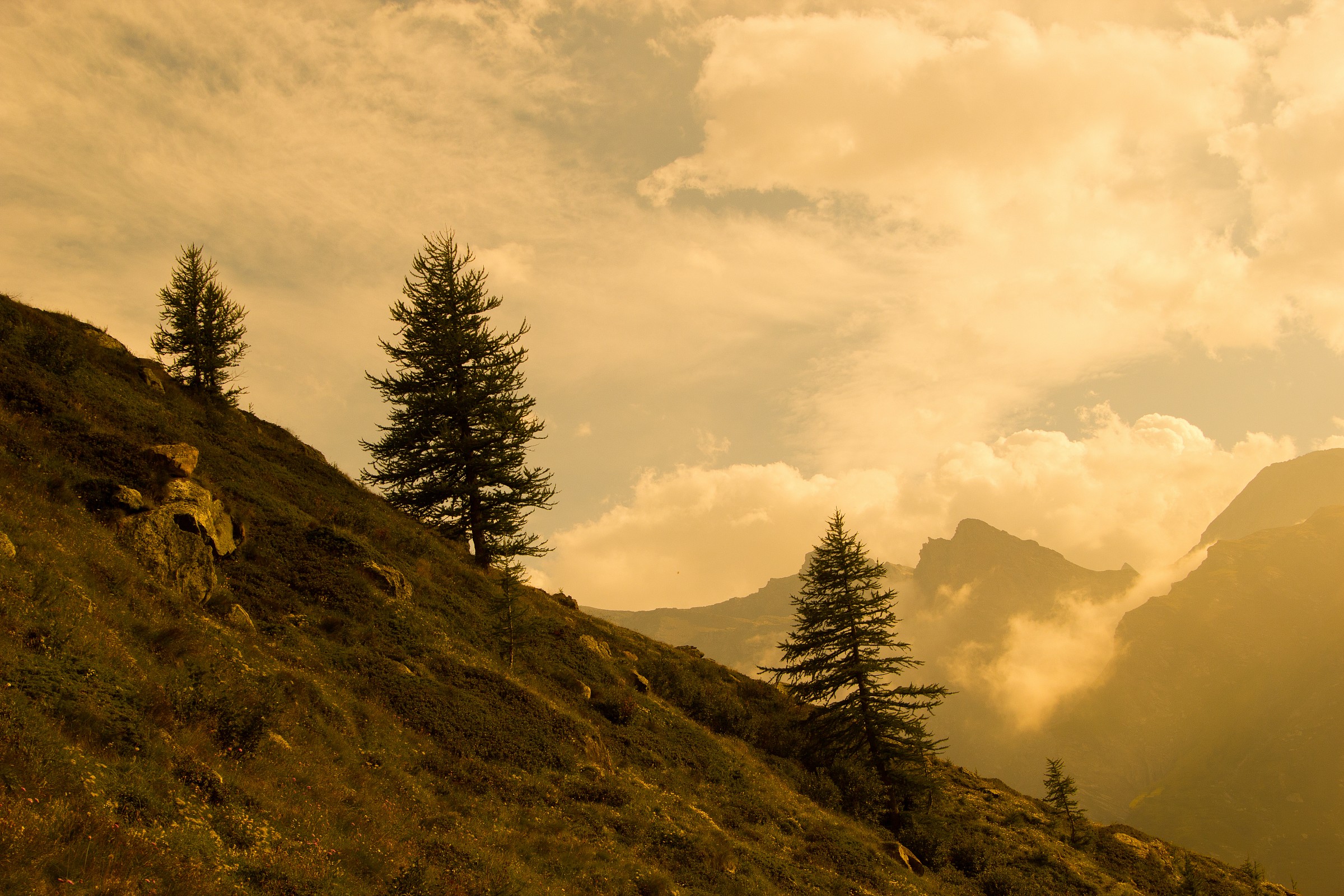 small experiment in PP