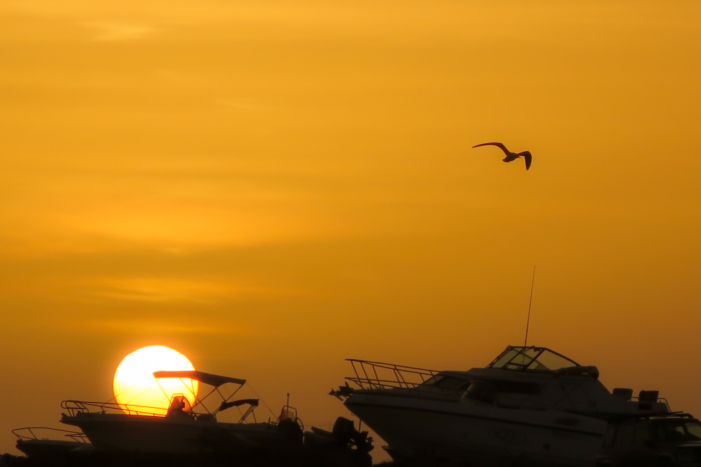 Il Porto. Catanzaro Lido. Calabria