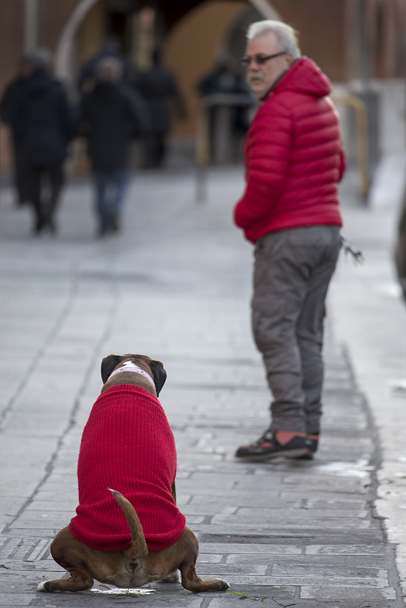 When you run ... run!