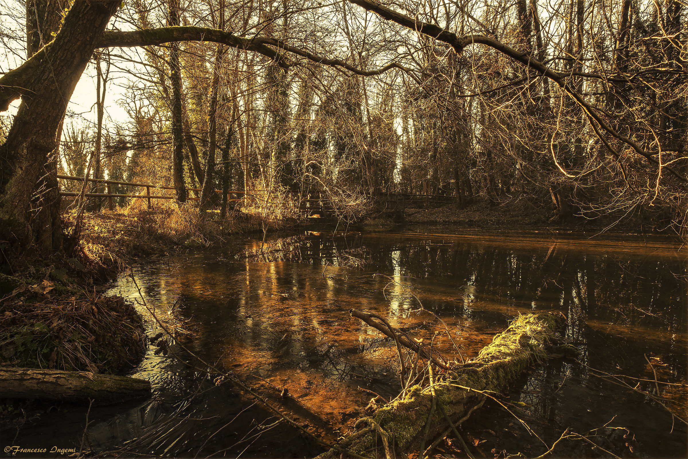 Winter sunset on the pond.