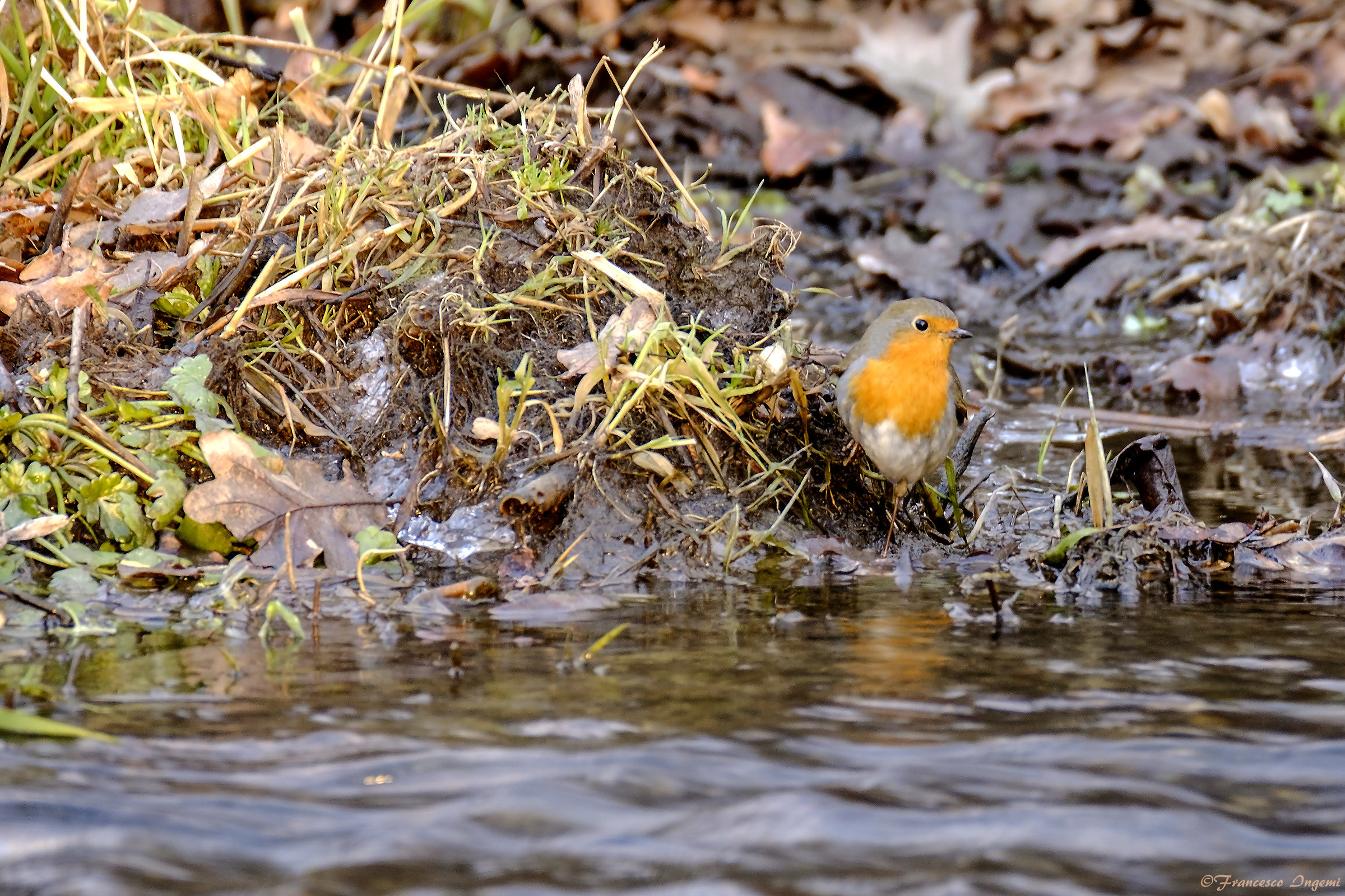 New Year's bathroom?