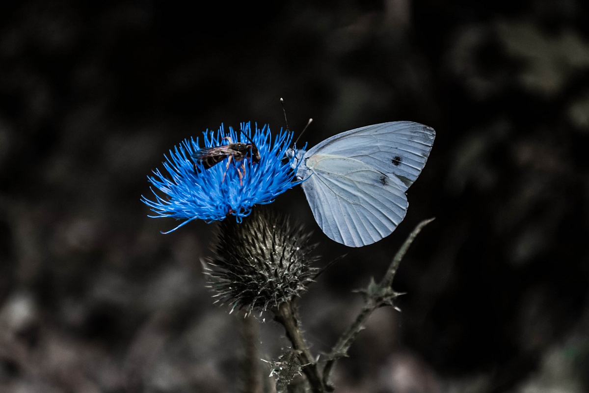 let°s share this...