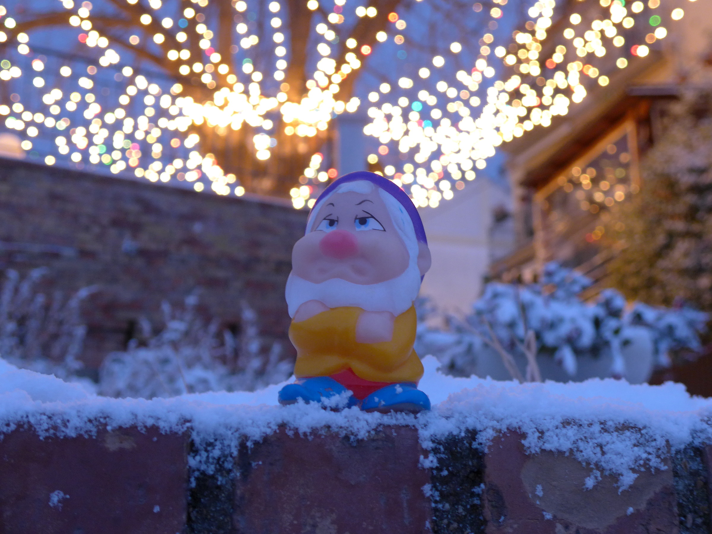 I wanted to stay home warm