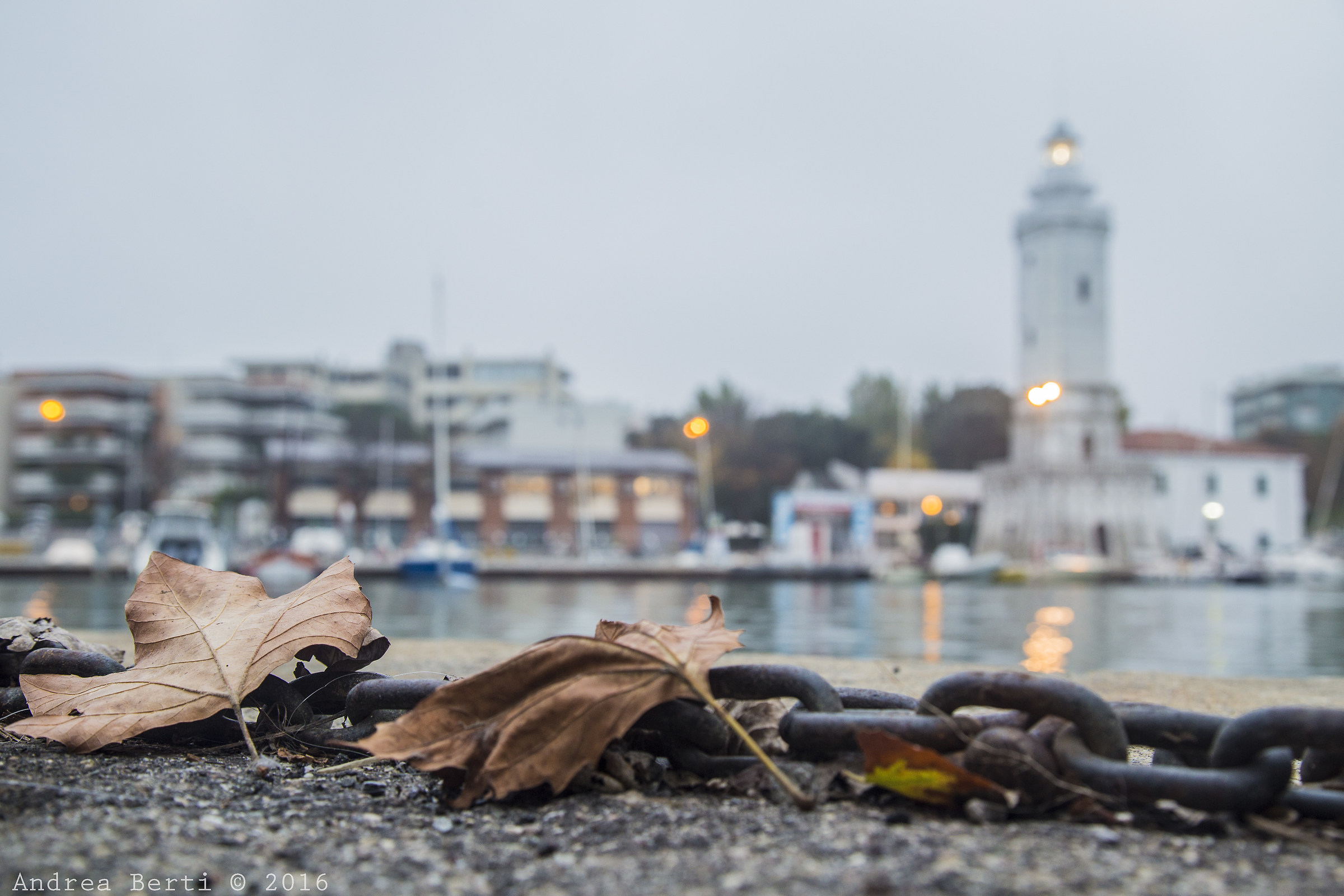 The reference in Porto di Rimini