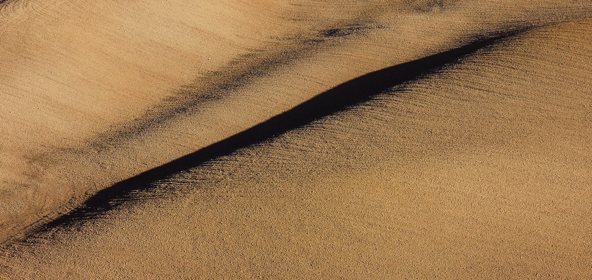 Shadow