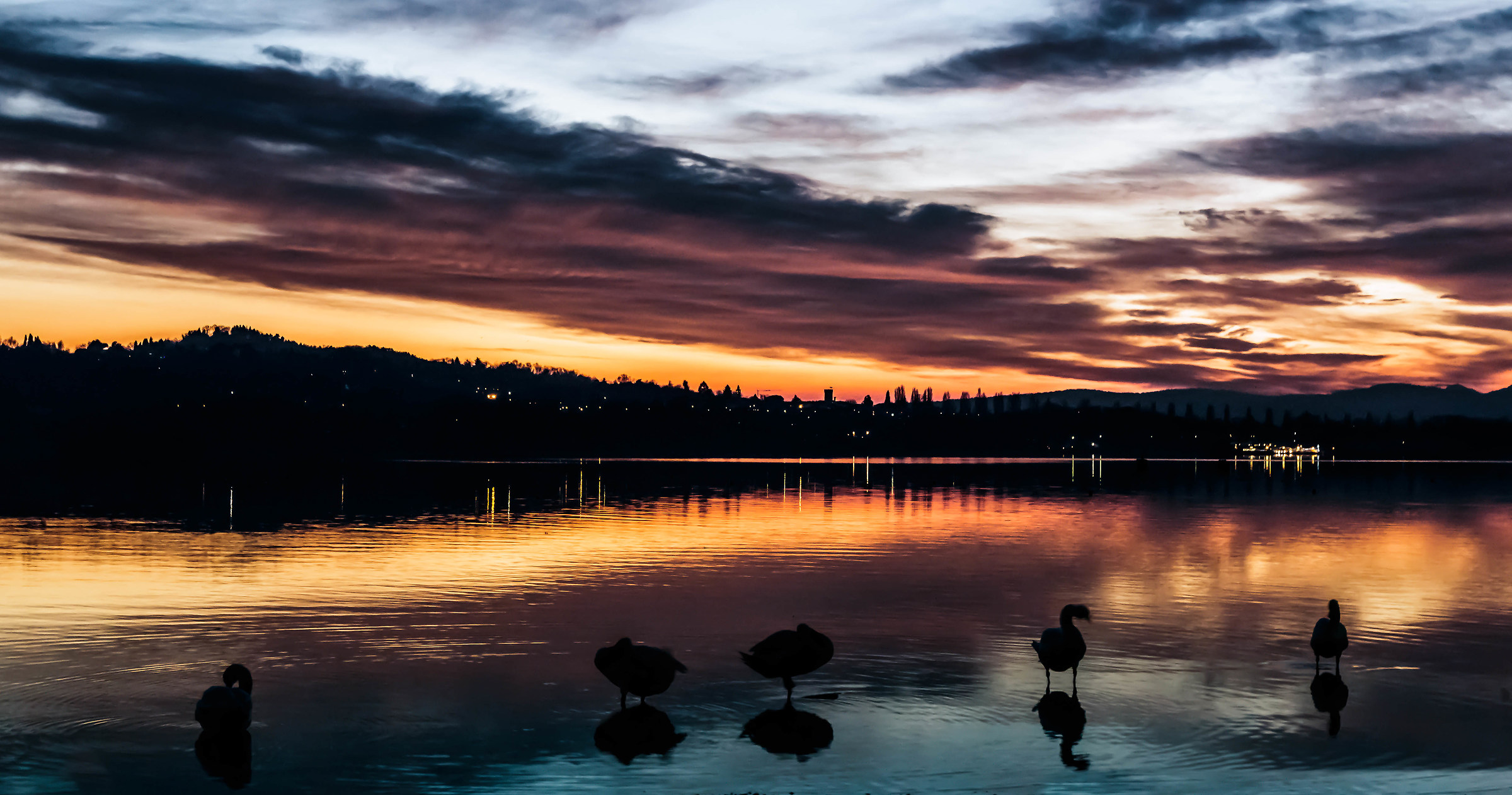 The guardians of the lake.