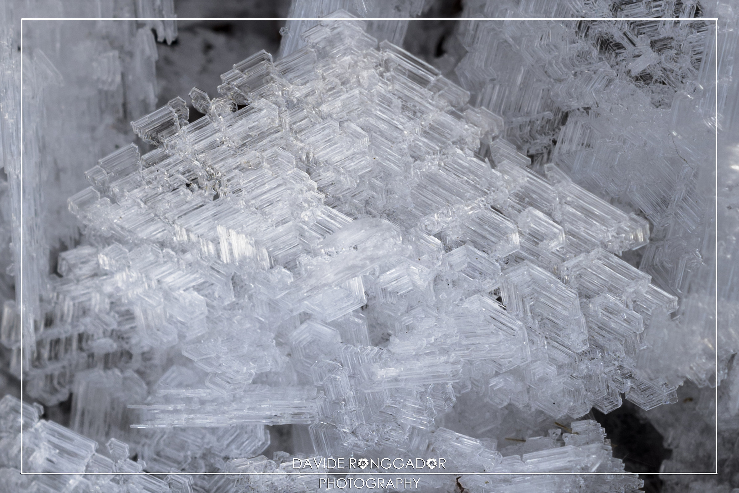 Mother Nature teaches geometry!