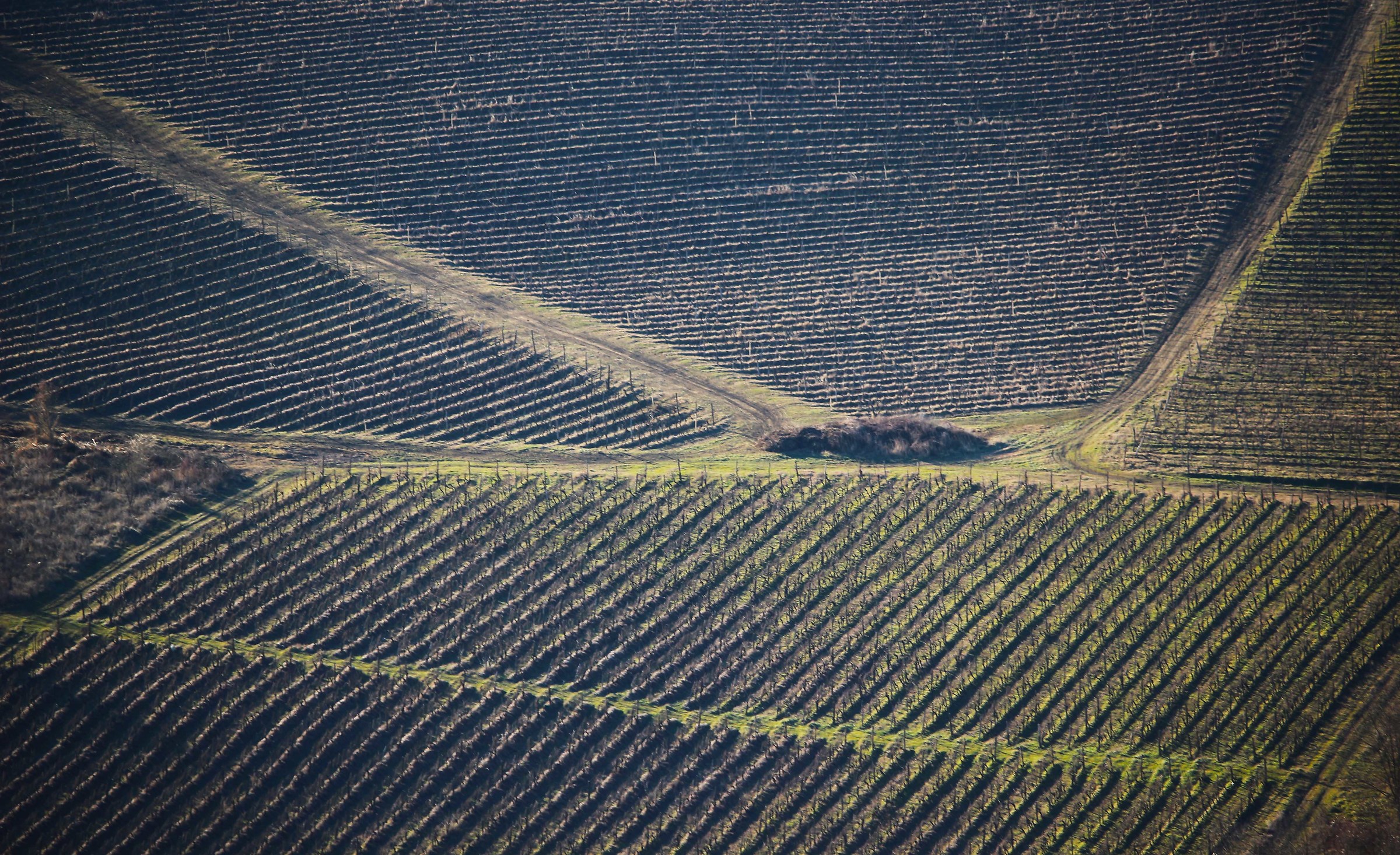 Geometry of the rest camps