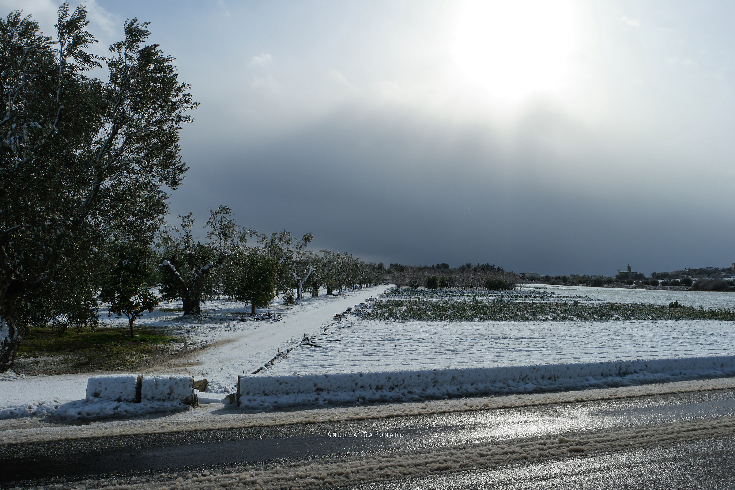 Between Gallipoli and Sannicola