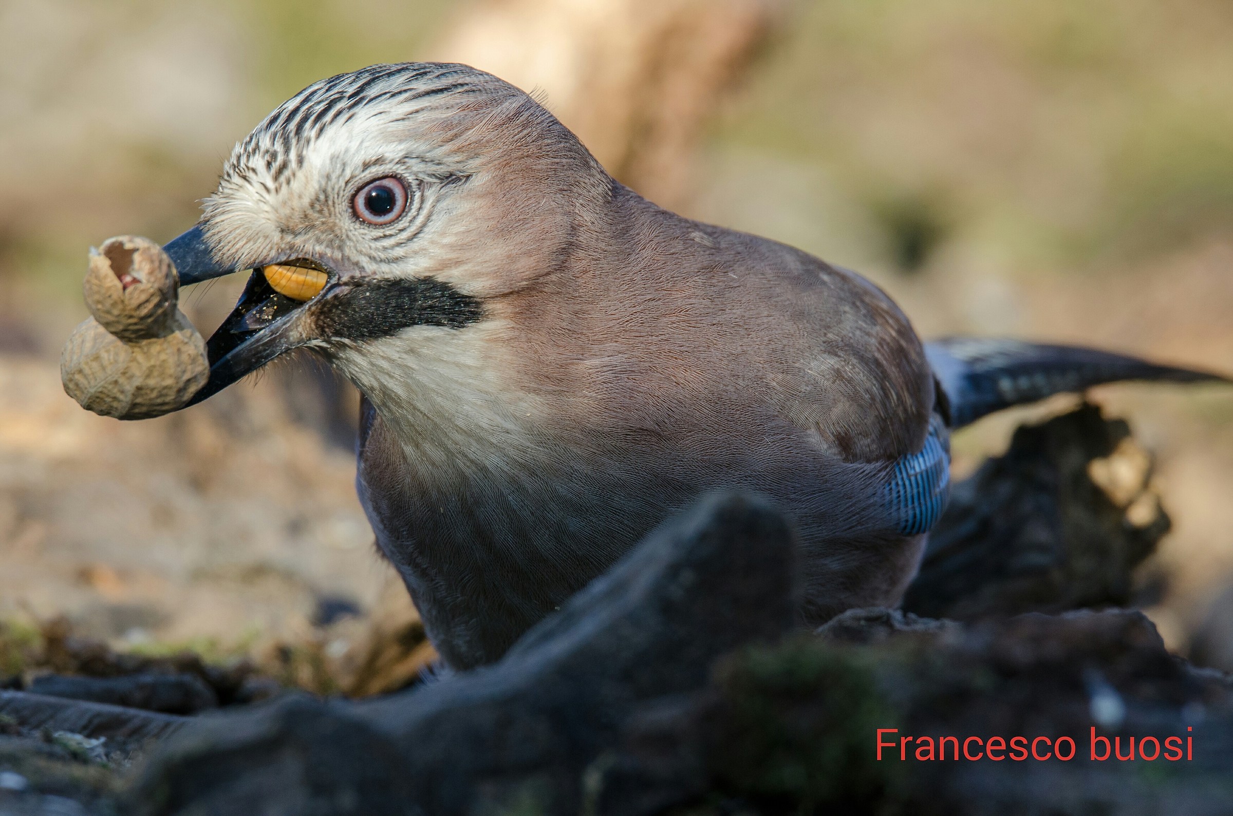 Super close vicinity