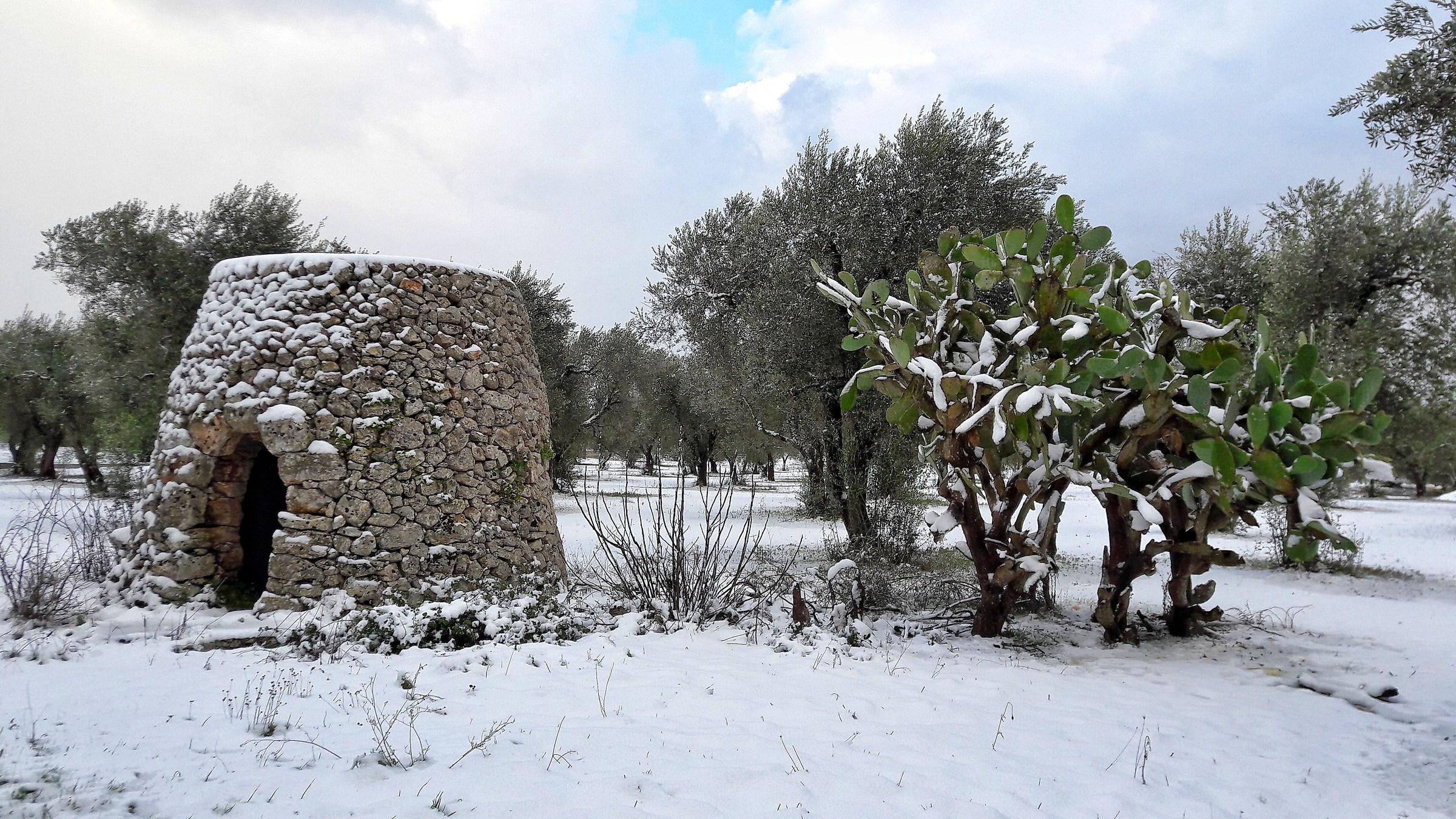 Il paiaro salentino...in un contesto insolito.