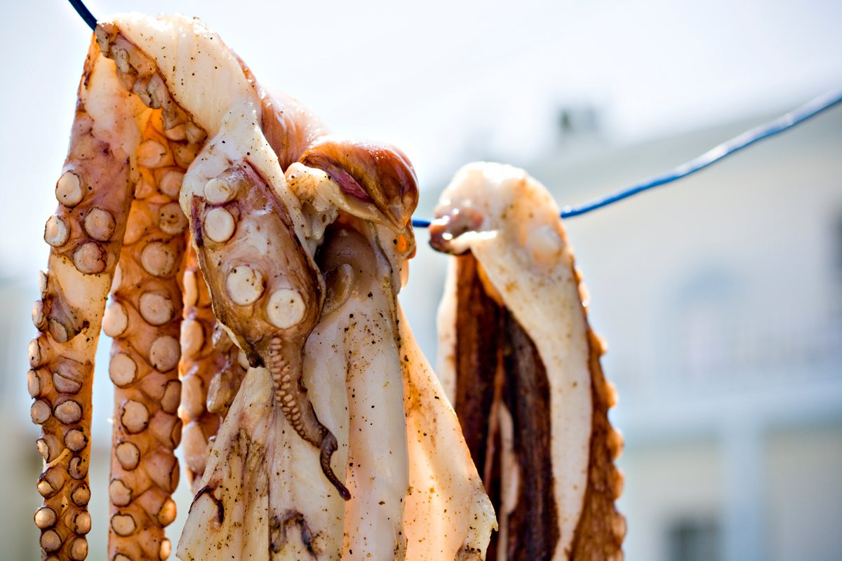 Dopo una nottata in mare