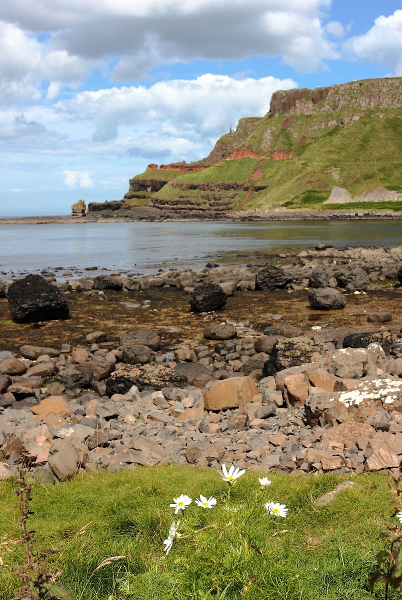 Giant's Causeway