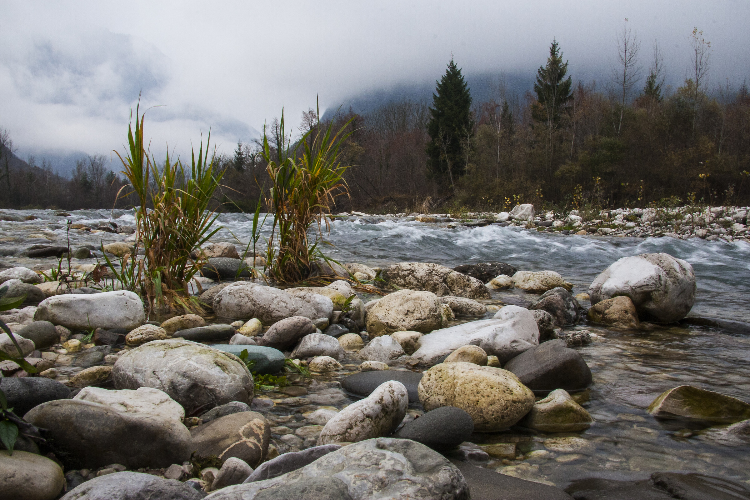 Mas BL il torrente Cordevole