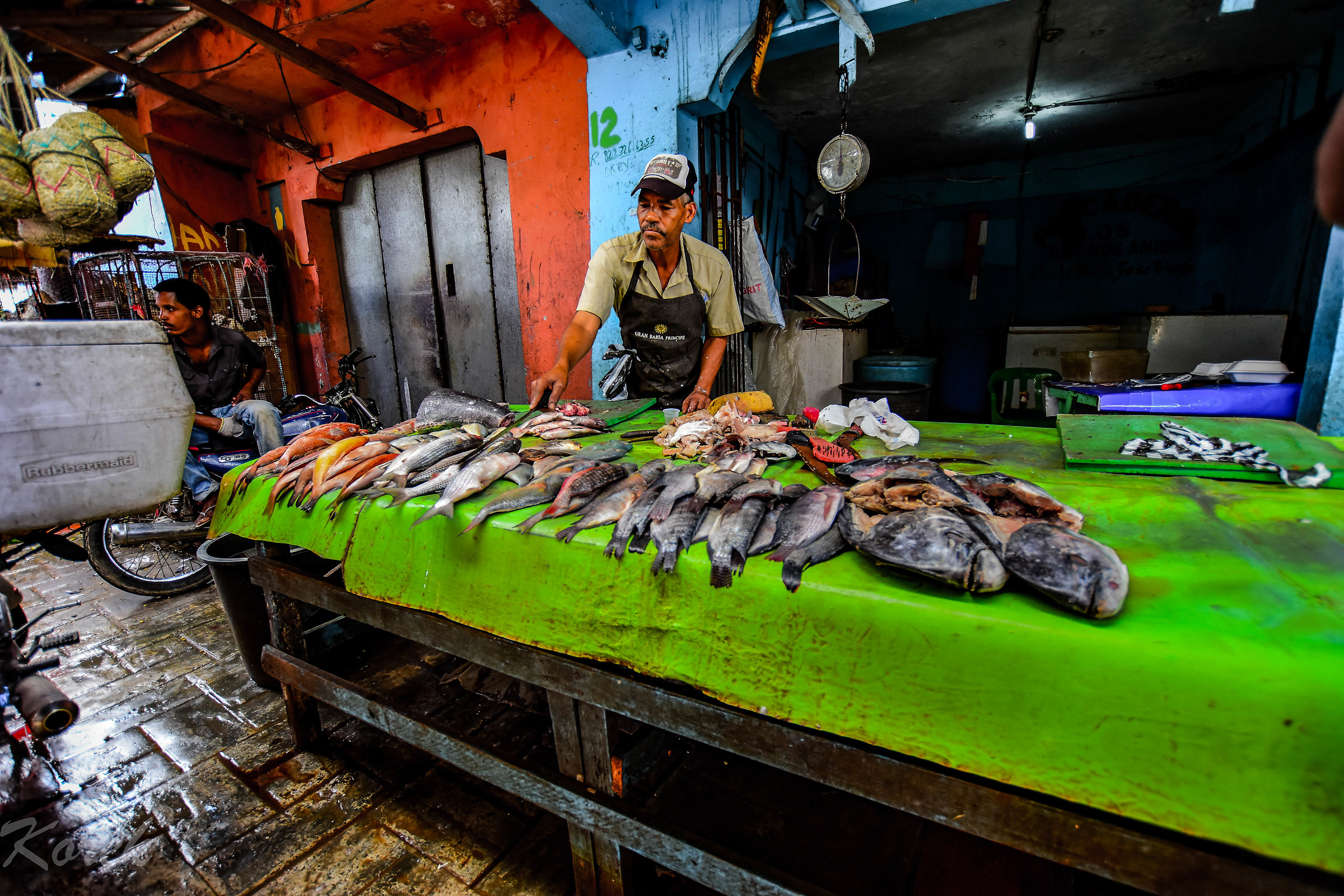 Mercato Santo Domingo