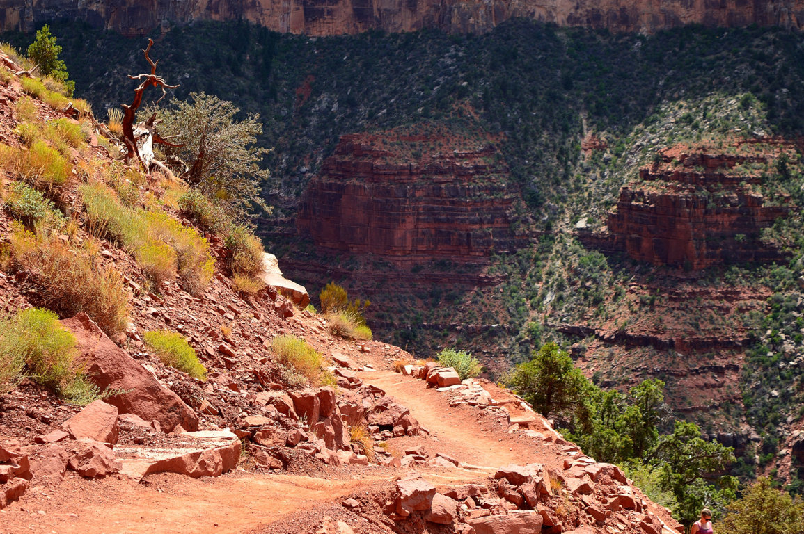 Paths on board ... Empty