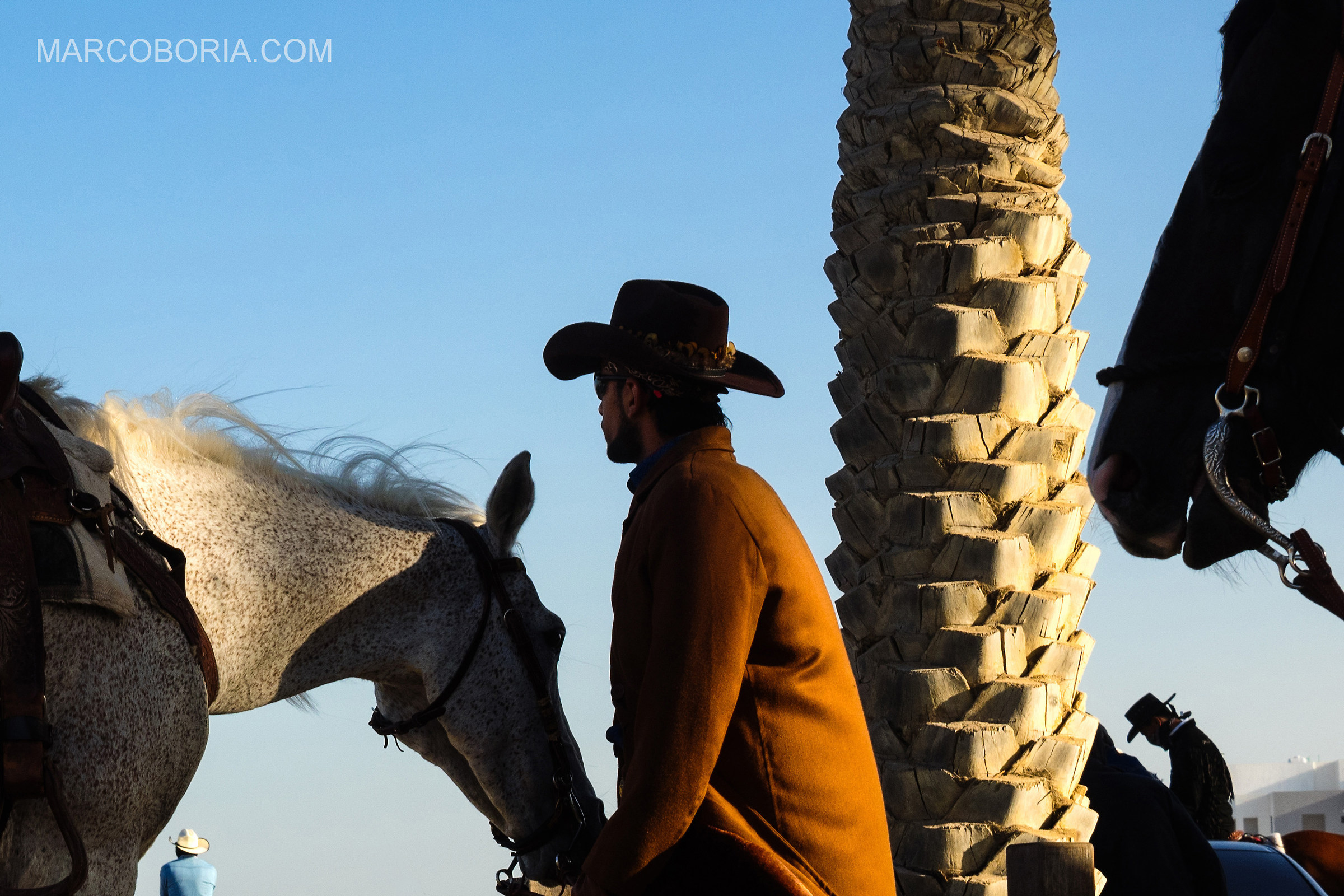 Bahraini Cowboys with arab horses