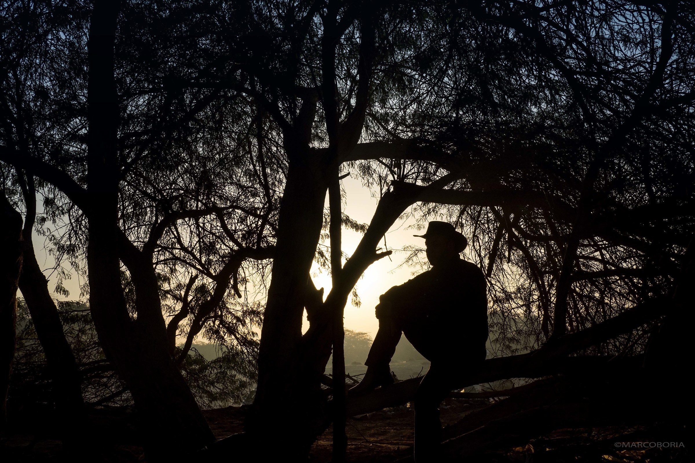 Bahraini Cowboys with arab horses
