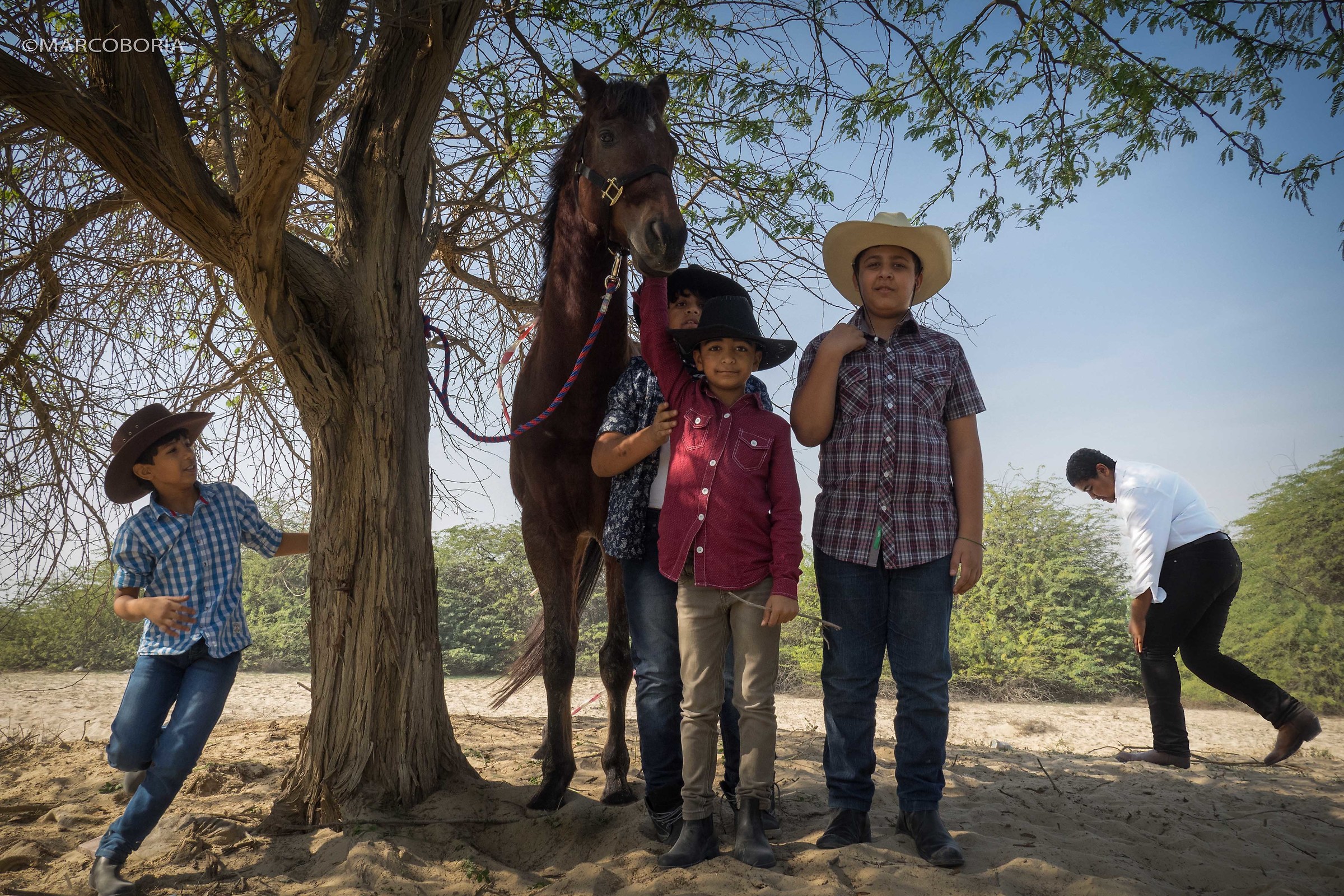 Bahraini Cowboys with arab horses